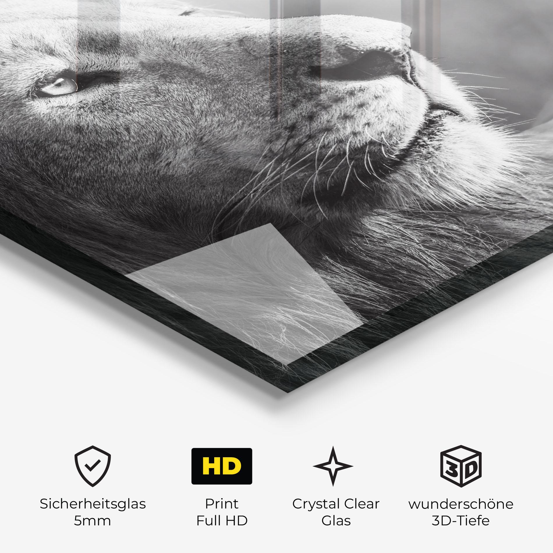 Glasbild Grey Lion Head mockup 3
