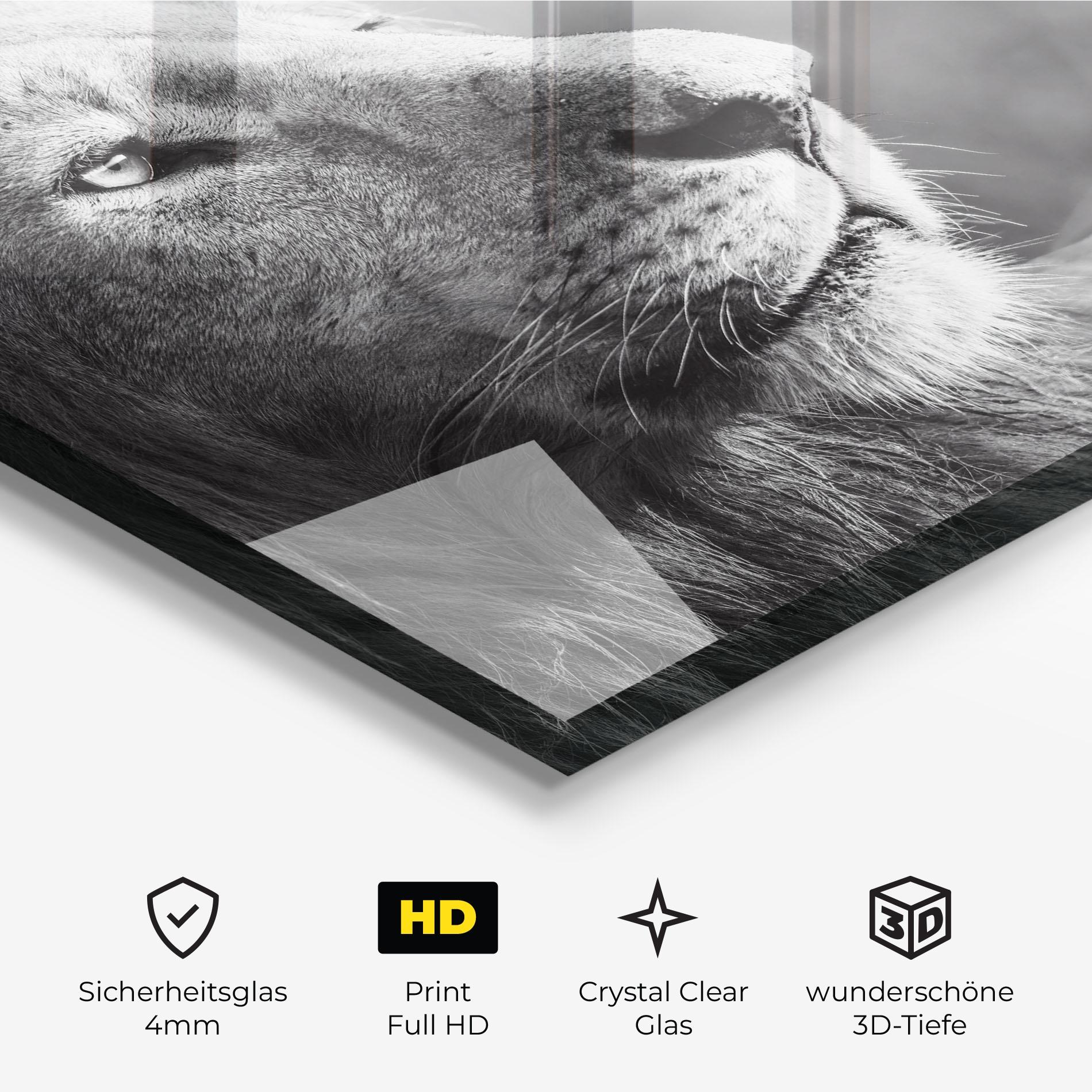Glasbild Grey Lion Head mockup 3