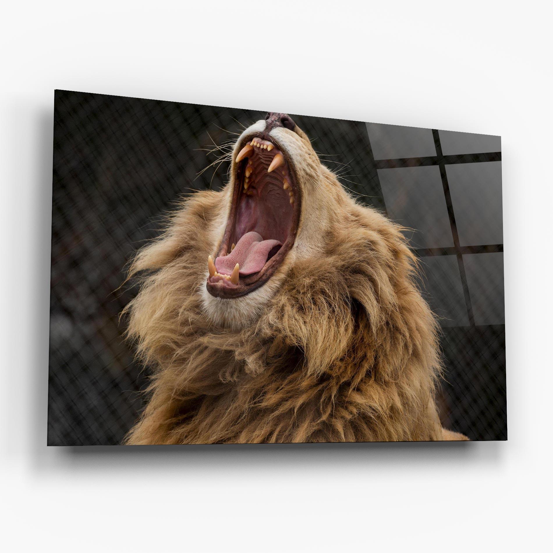 Glasbild Angry Lion mockup 6