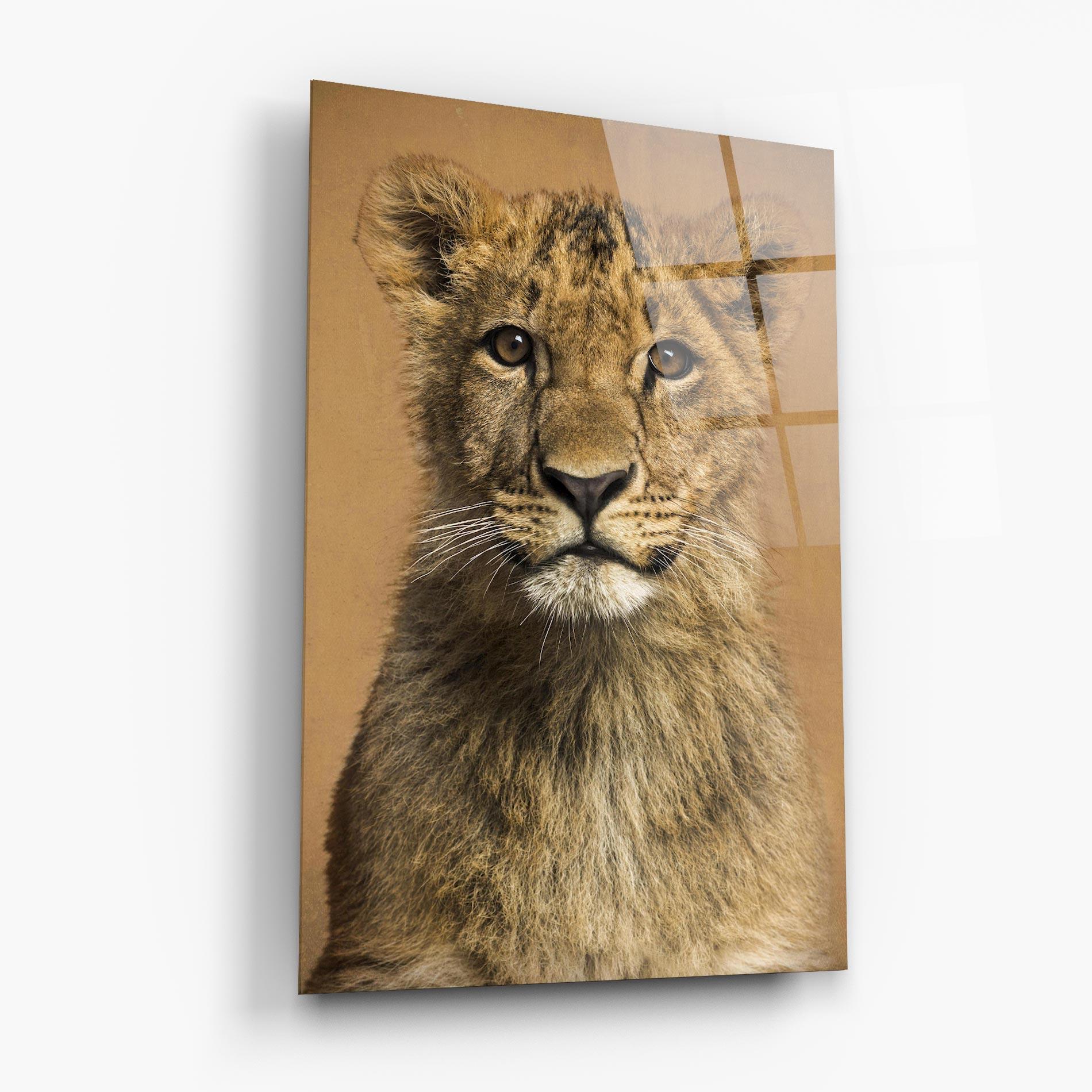 Glasbild Baby Lion mockup 6
