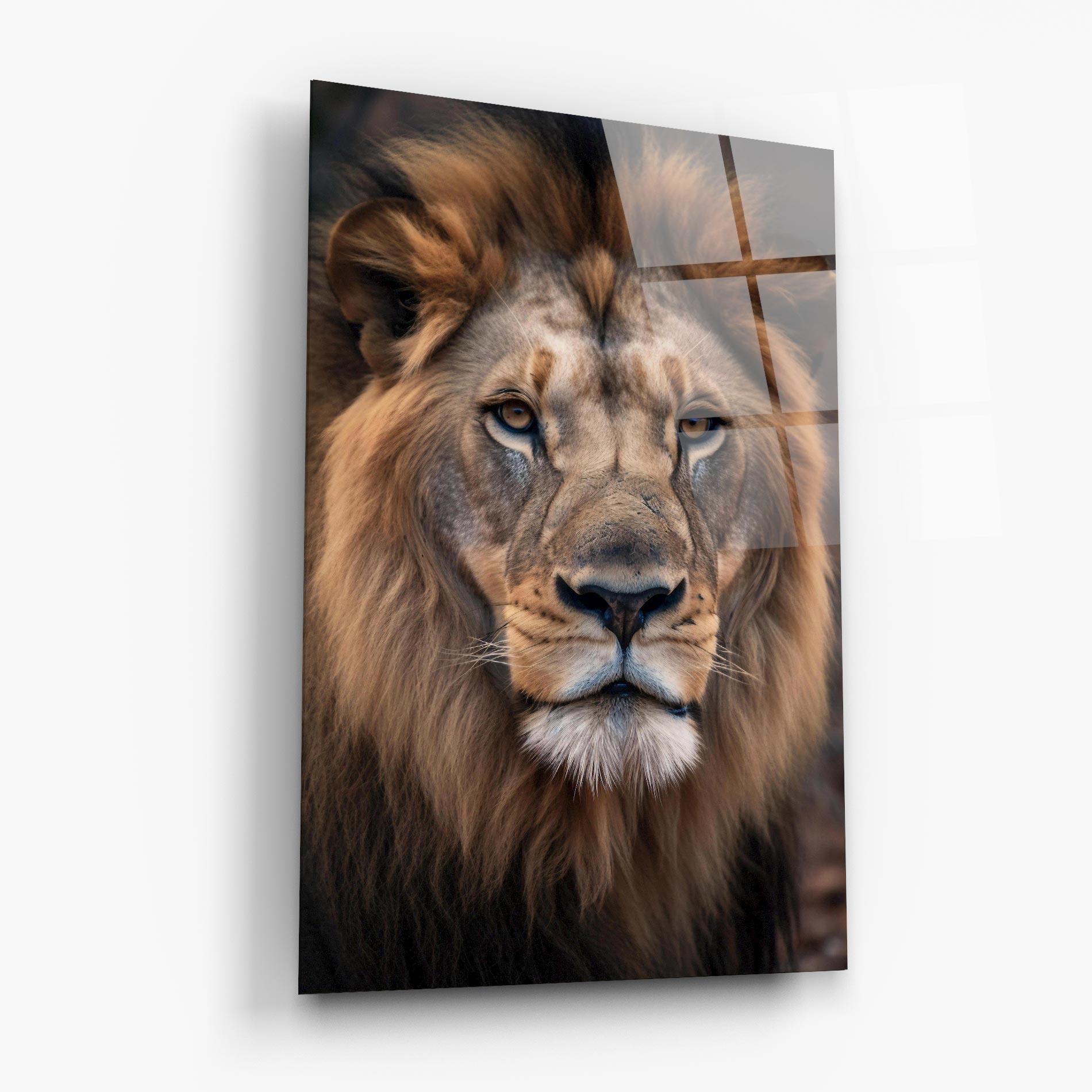Glasbild Wild Lion View mockup 6