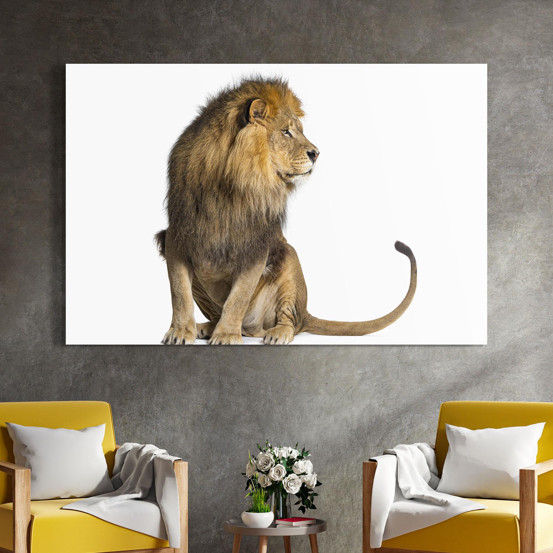 Glasbild Big Lion mockup 4