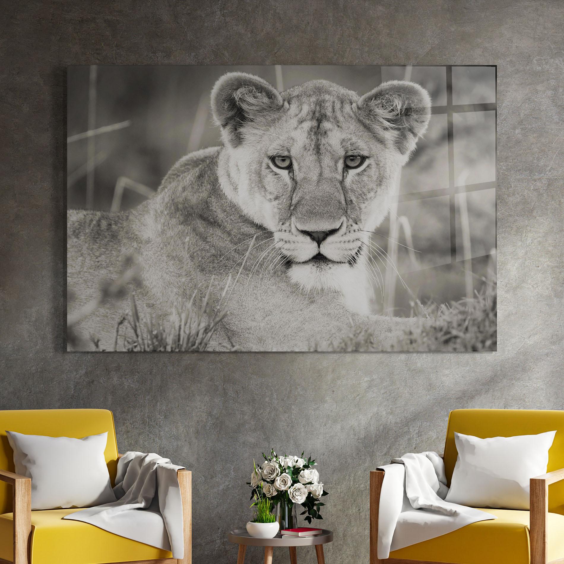 Glasbild Grey Female Lion Looking mockup 4