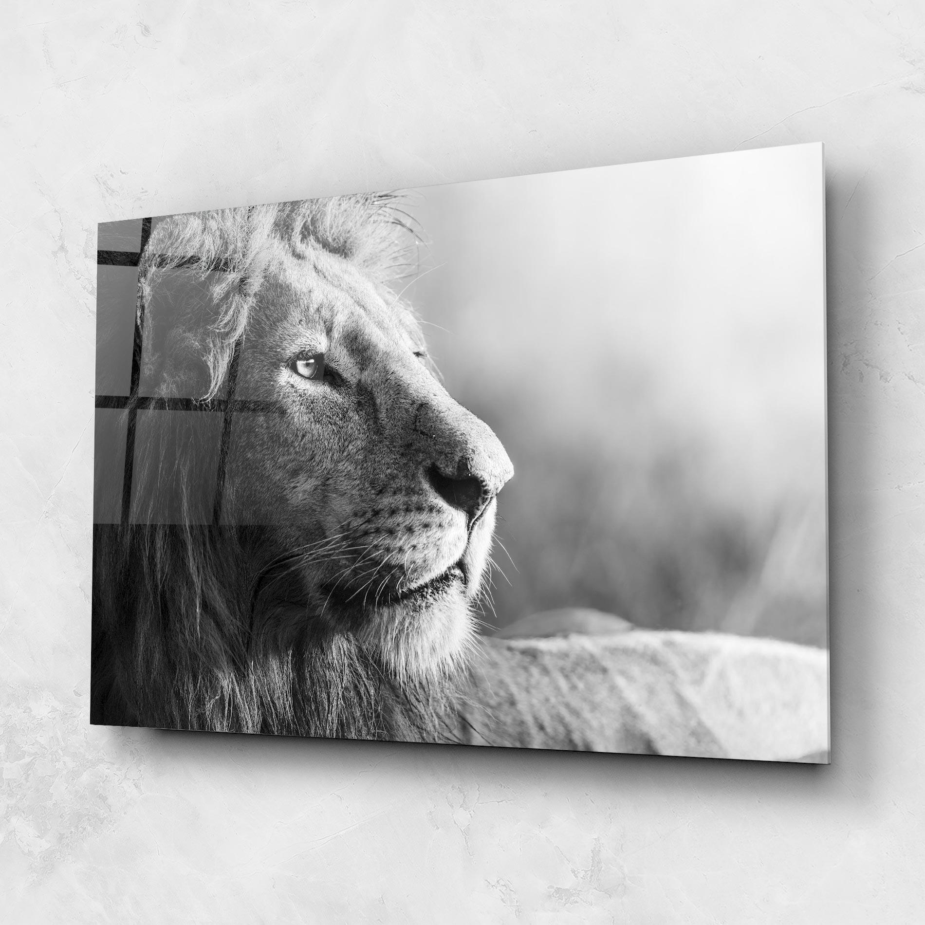 Glasbild Grey Lion Head mockup 1
