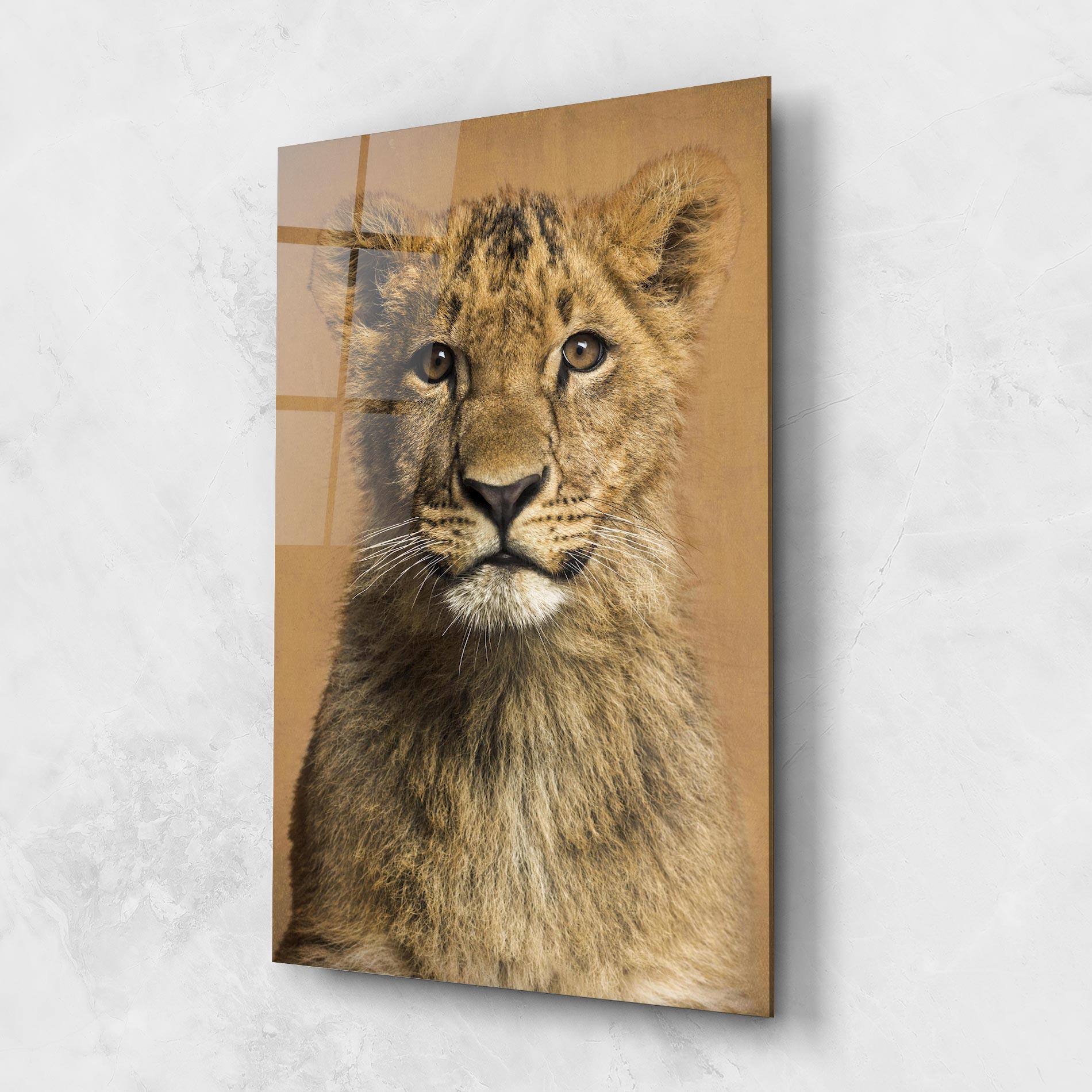 Glasbild Baby Lion mockup 1
