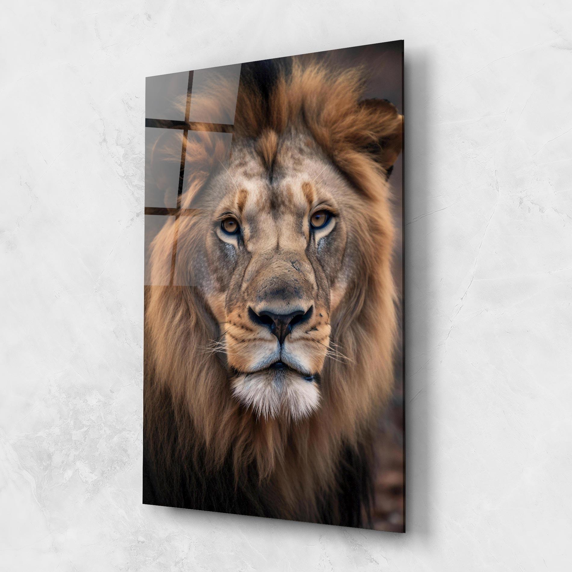 Glasbild Wild Lion View mockup 1