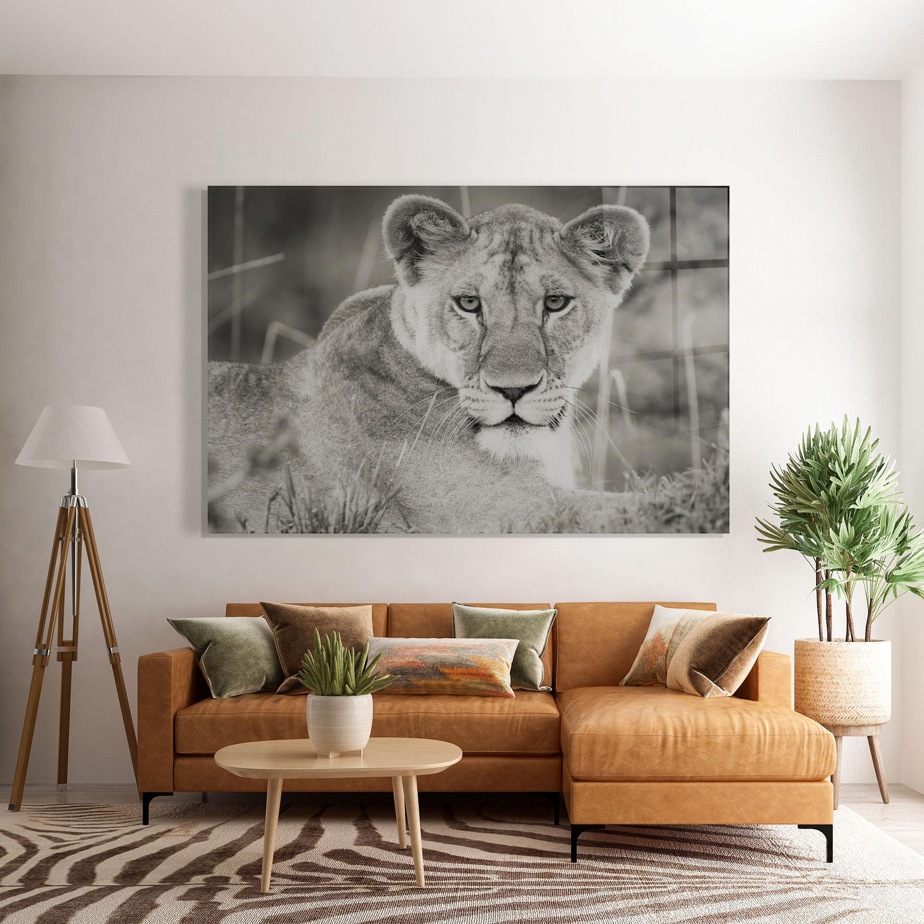 Glasbild Grey Female Lion Looking mockup 7