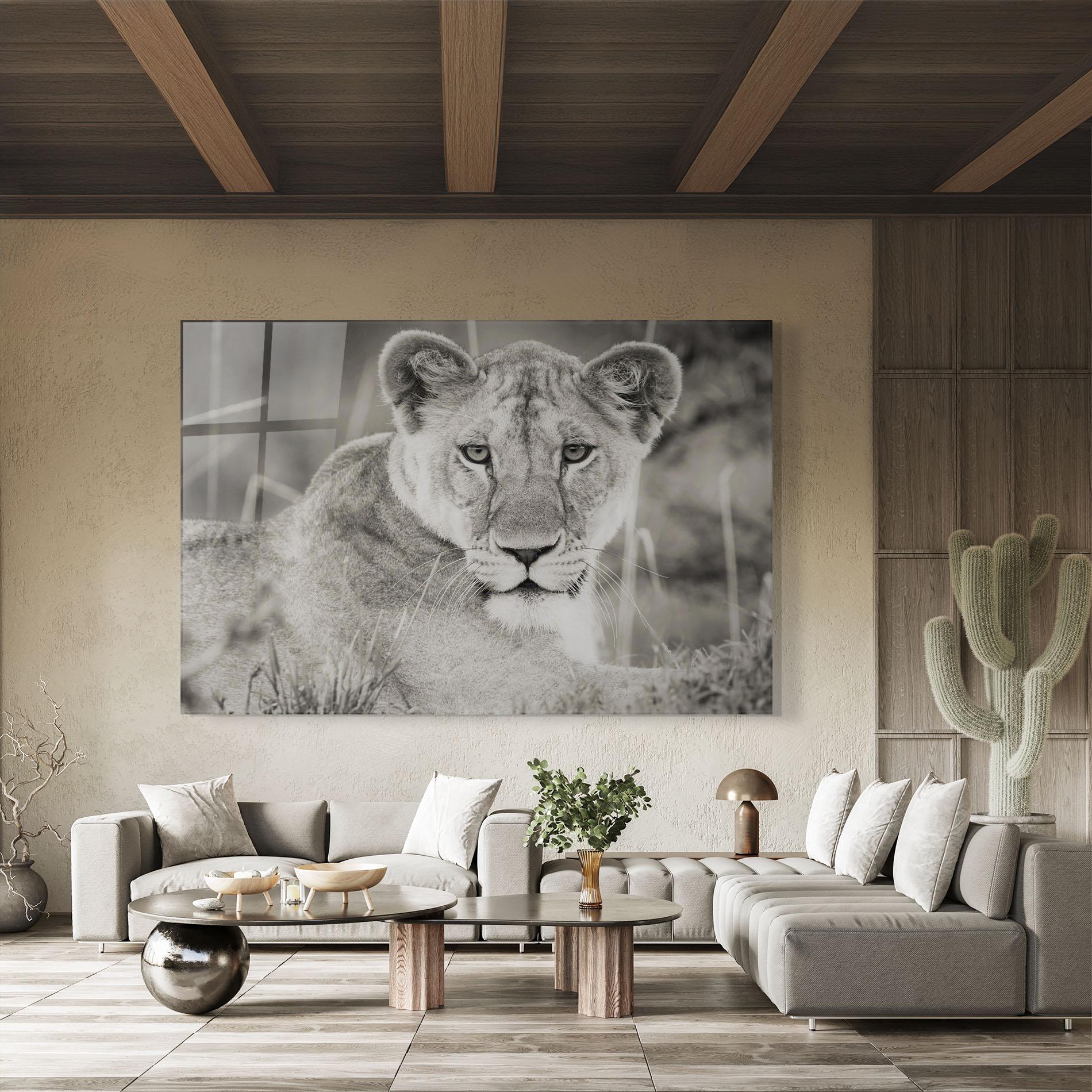 Glasbild Grey Female Lion Looking mockup 8