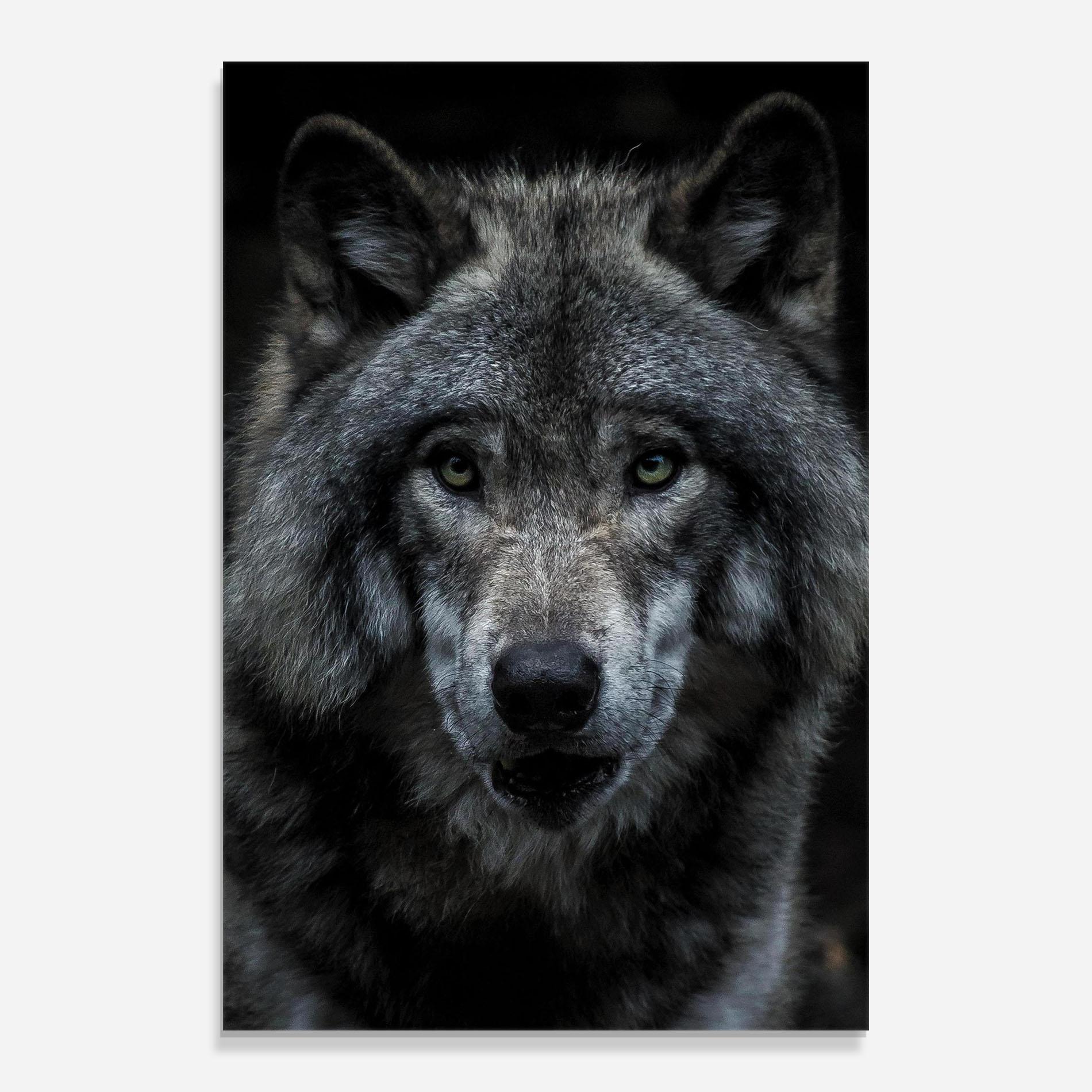 Glasbild Angry Wolf mockup 0