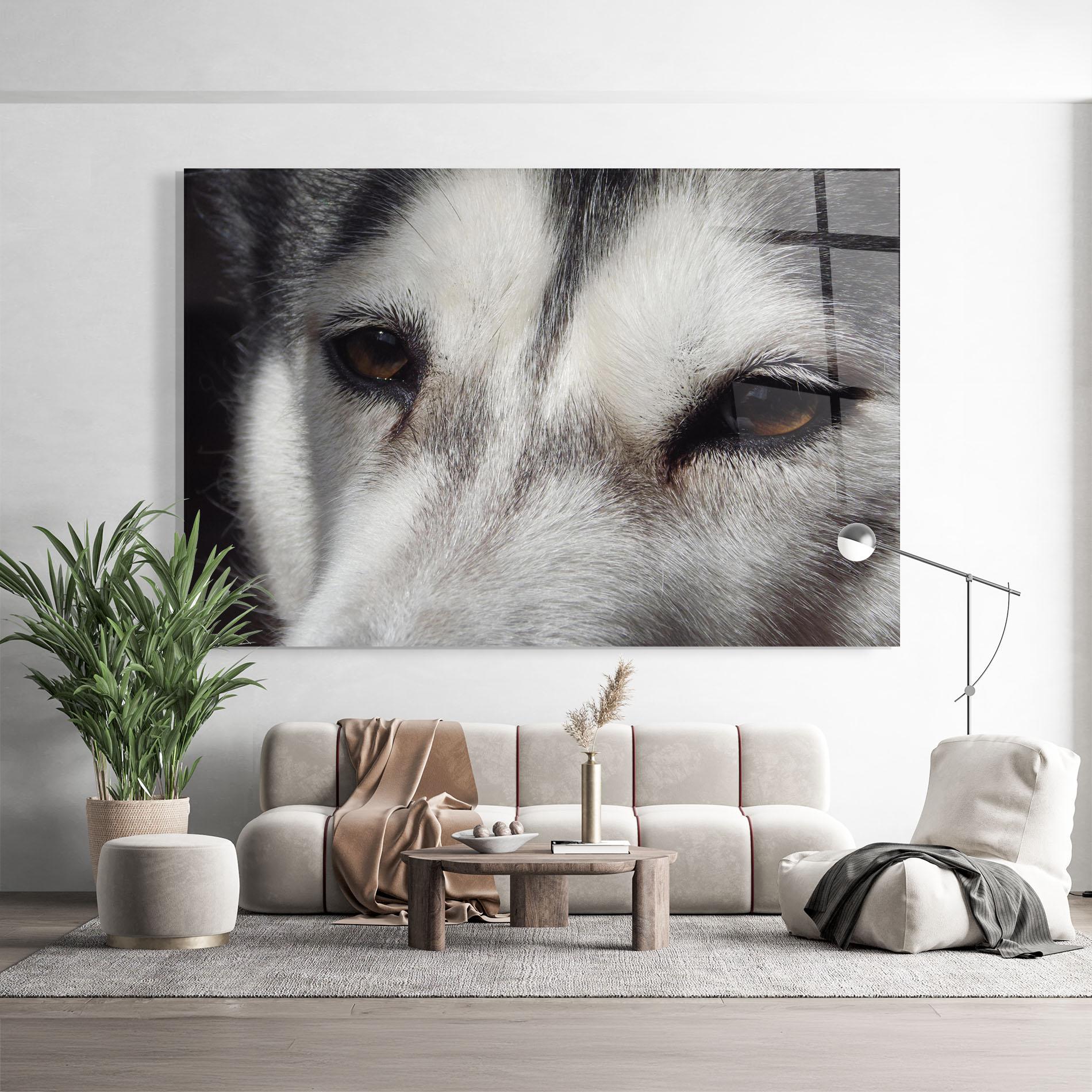 Glasbild Close Up Wolf mockup 9