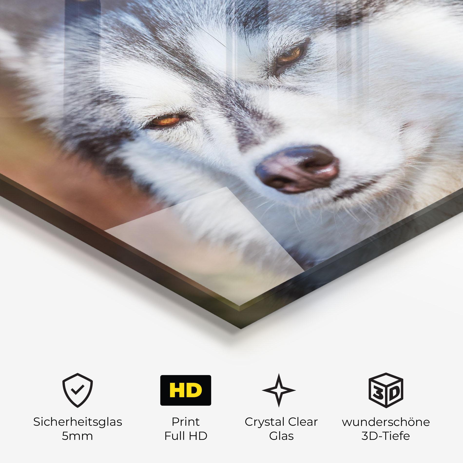 Glasbild Annoyed Wolf mockup 3