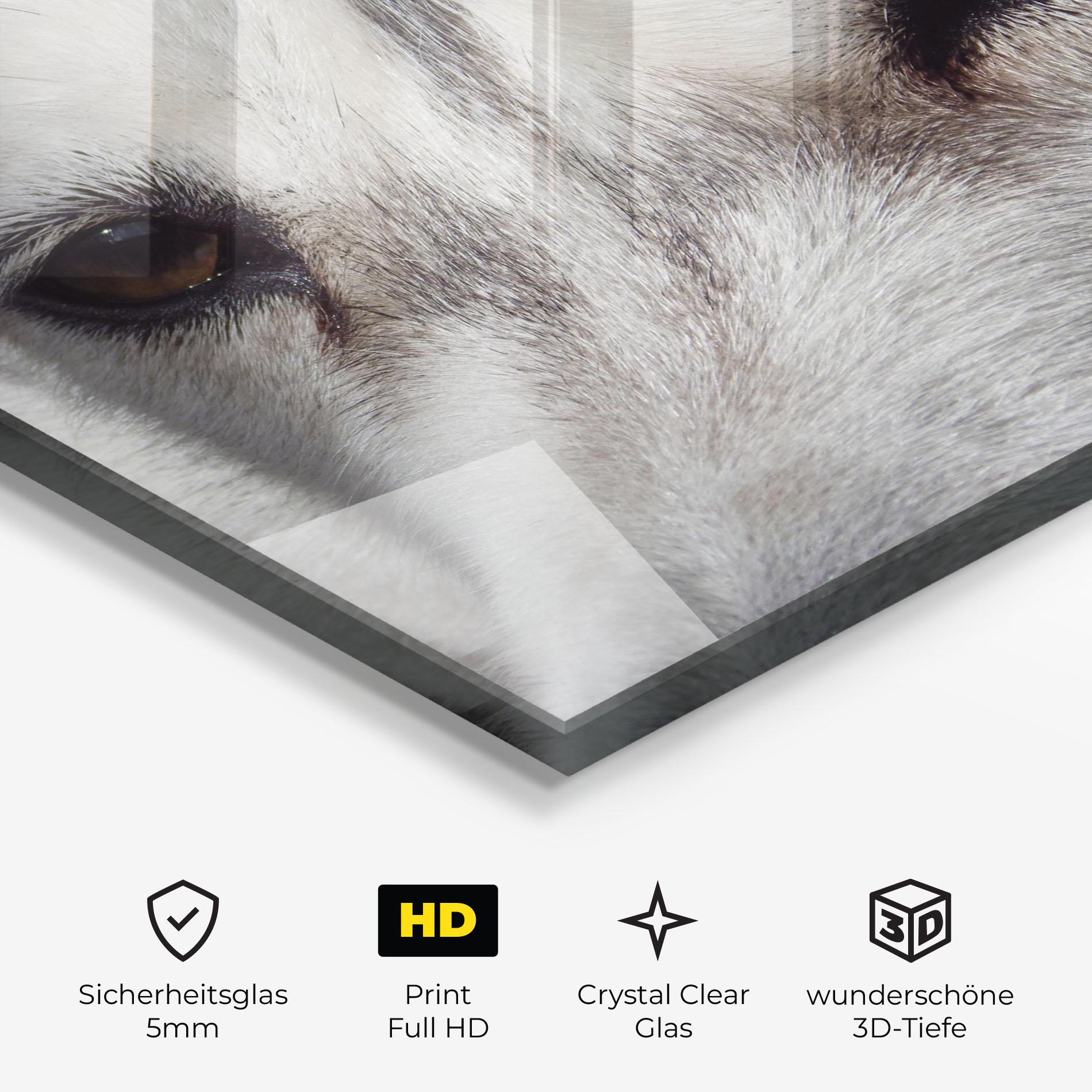 Glasbild Close Up Wolf mockup 3