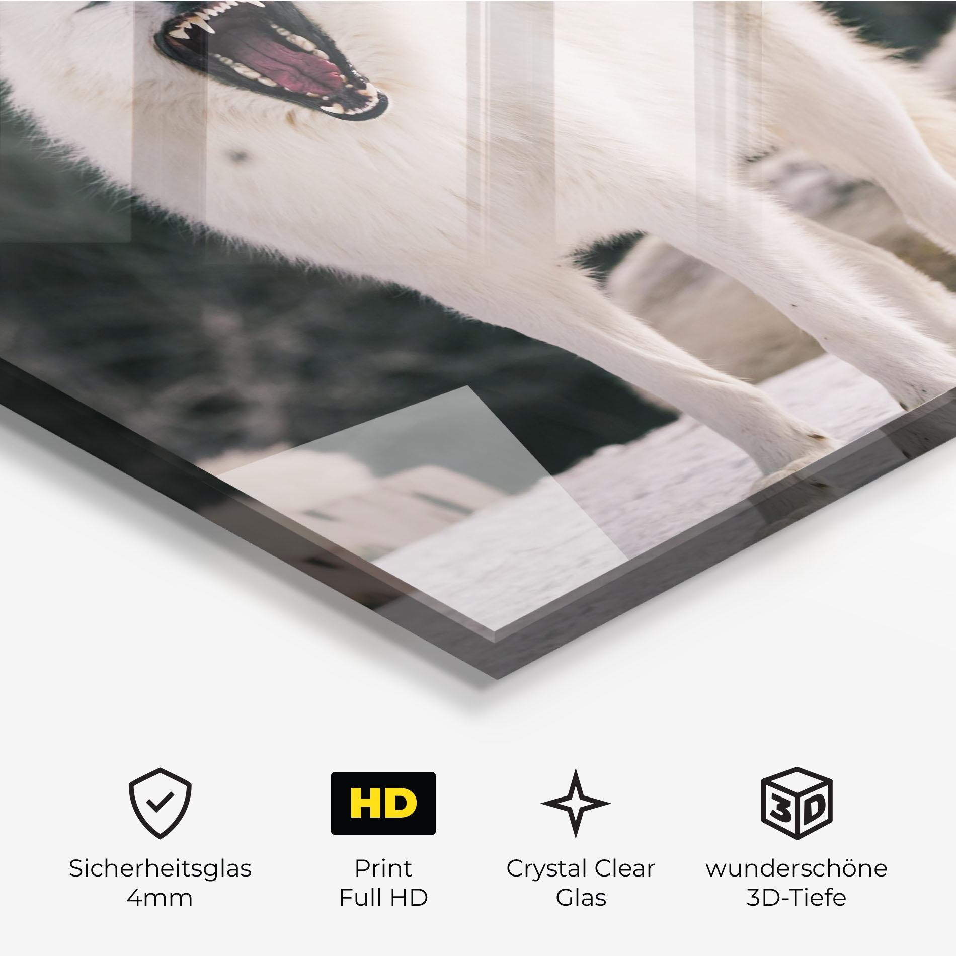 Glasbild Laughing White Wolf mockup 3
