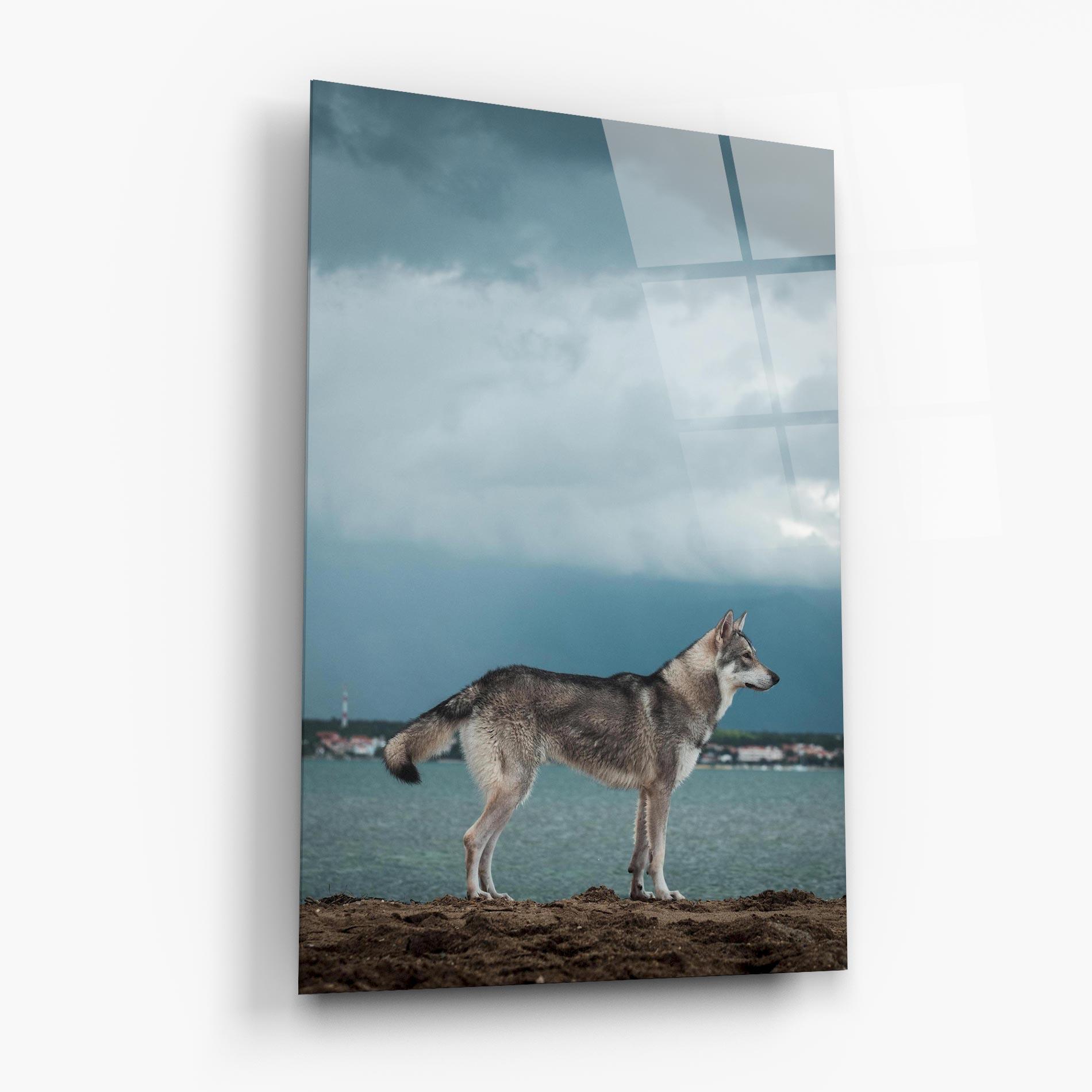Glasbild Grey Wolf Looking mockup 6