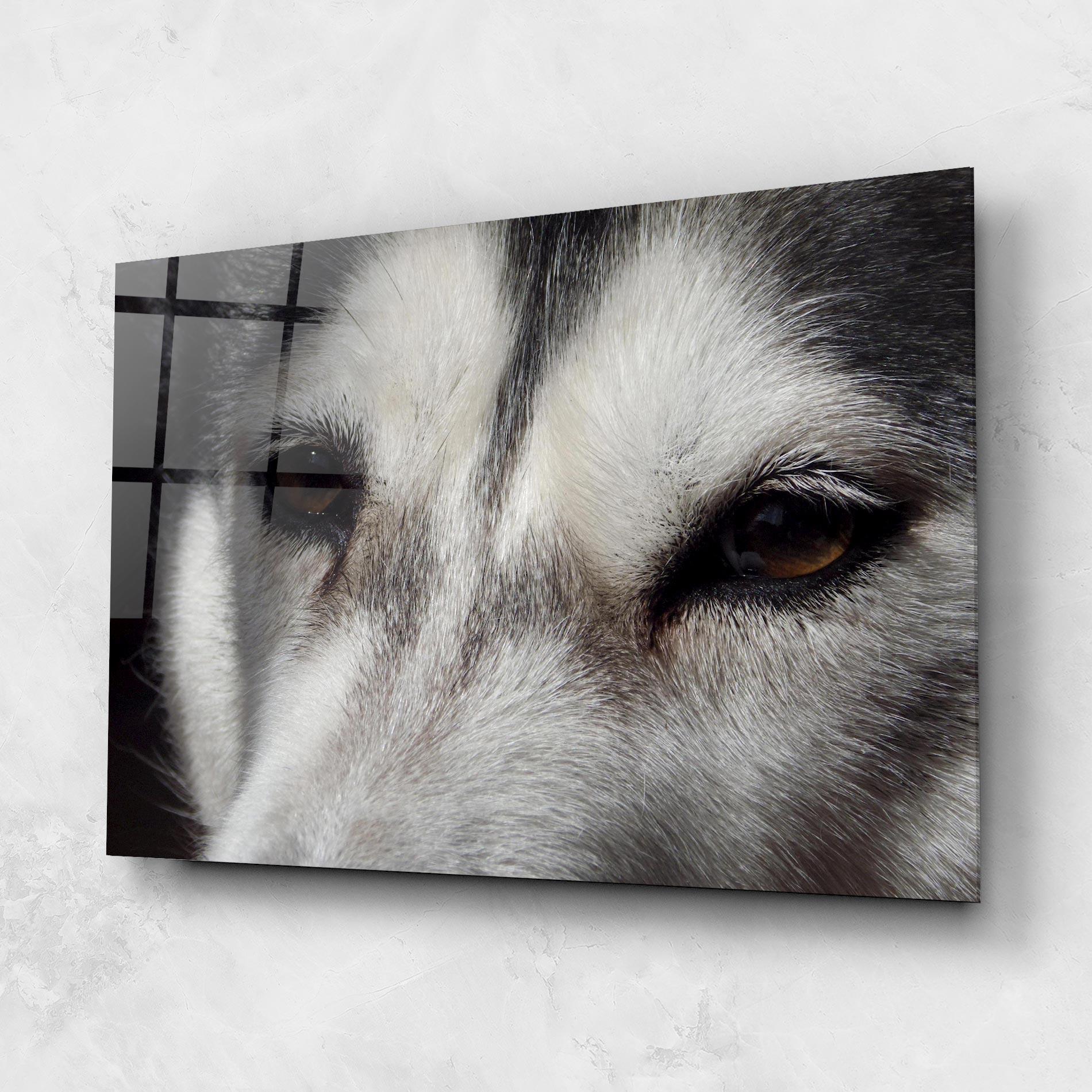 Glasbild Close Up Wolf mockup 1