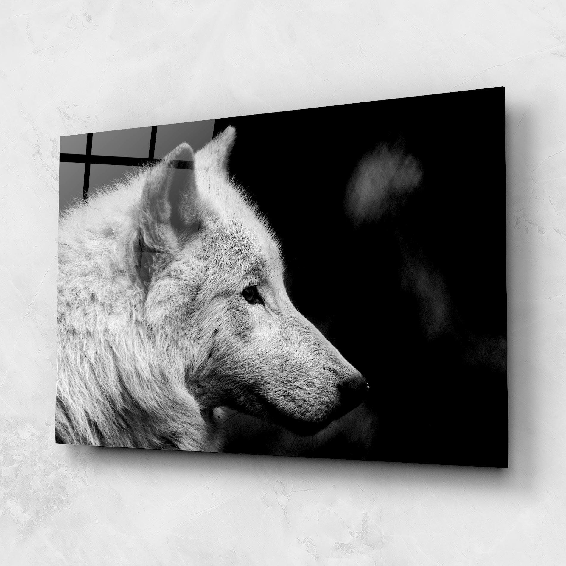 Glasbild Grey Wolf mockup 1