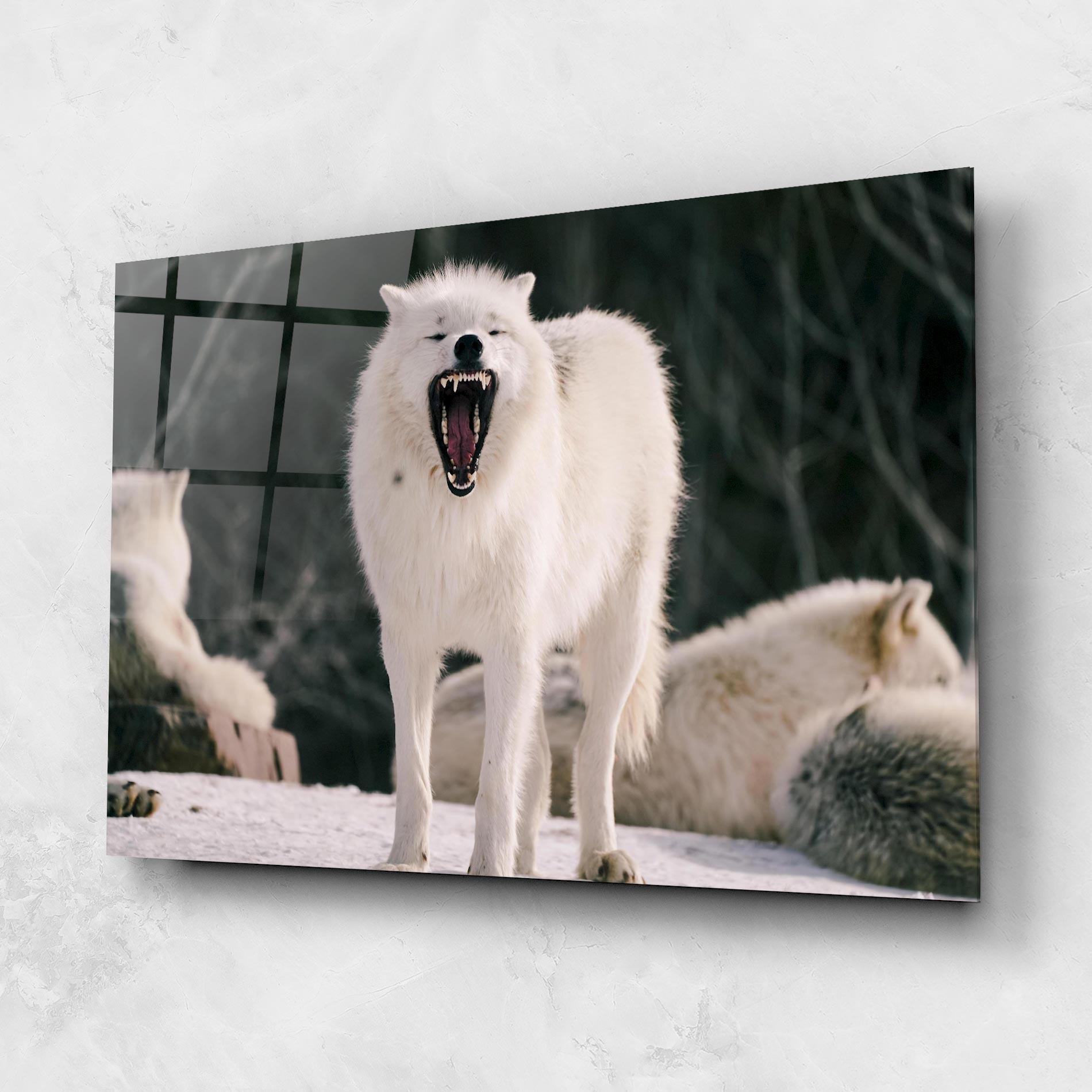 Glasbild Laughing White Wolf mockup 1