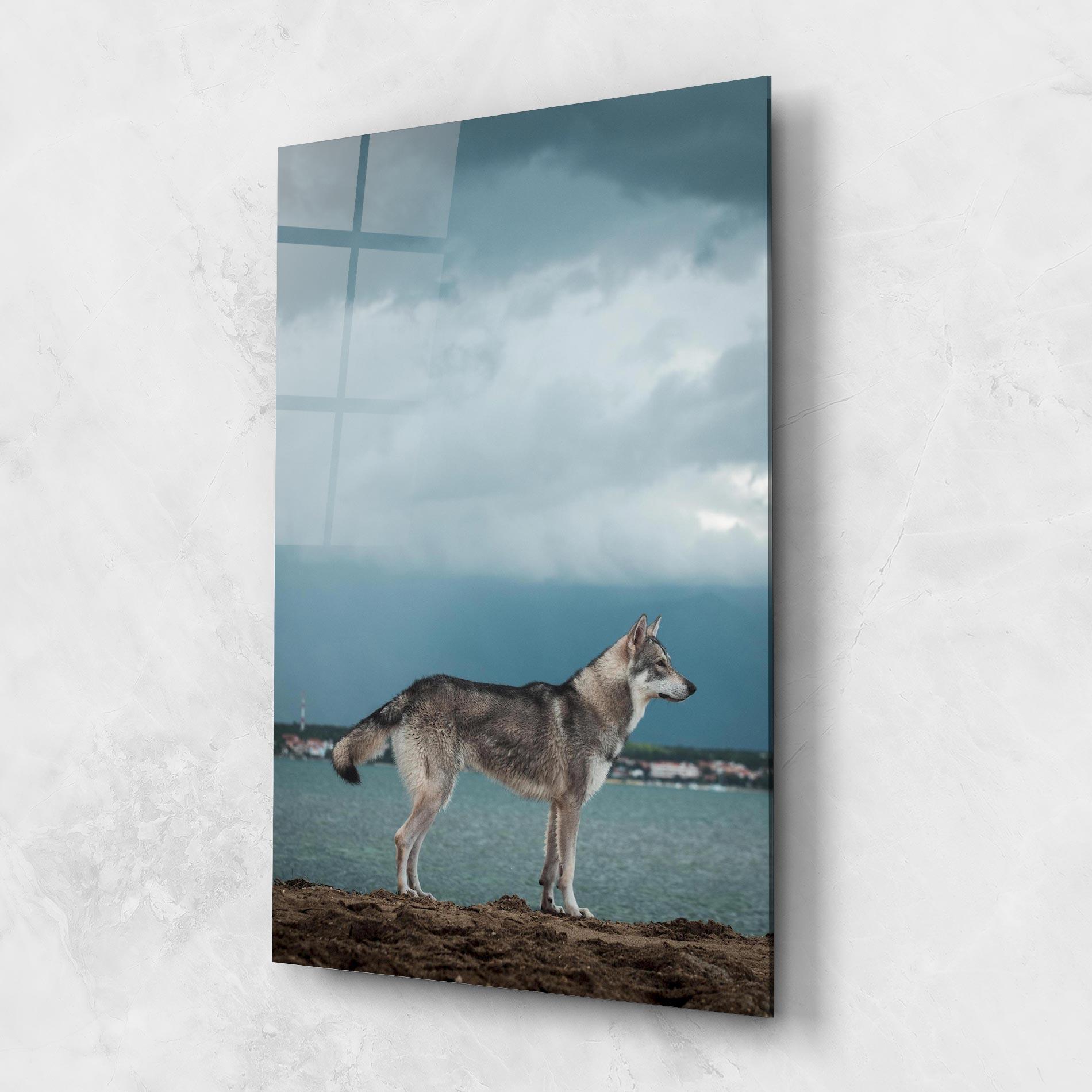 Glasbild Grey Wolf Looking mockup 1