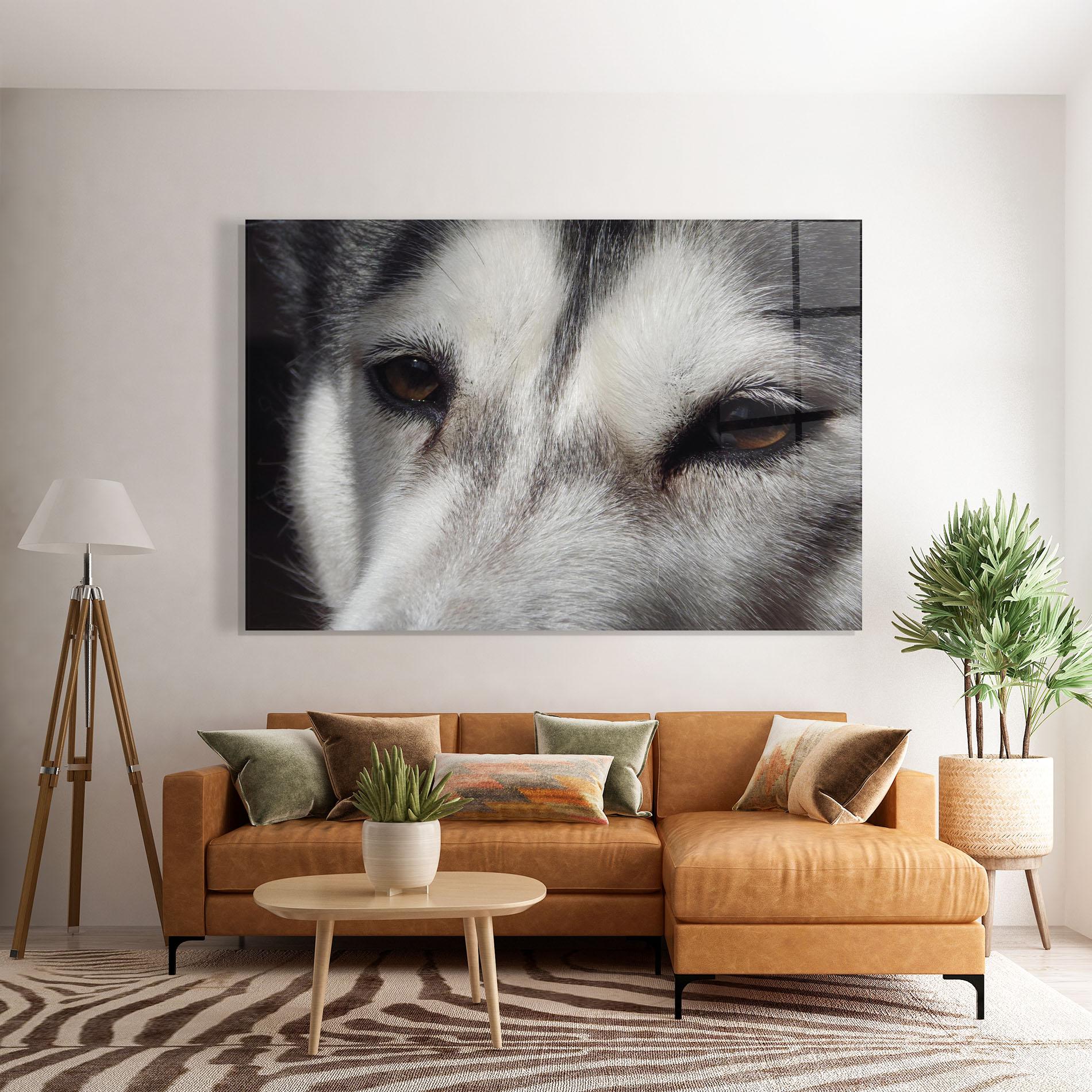 Glasbild Close Up Wolf mockup 7