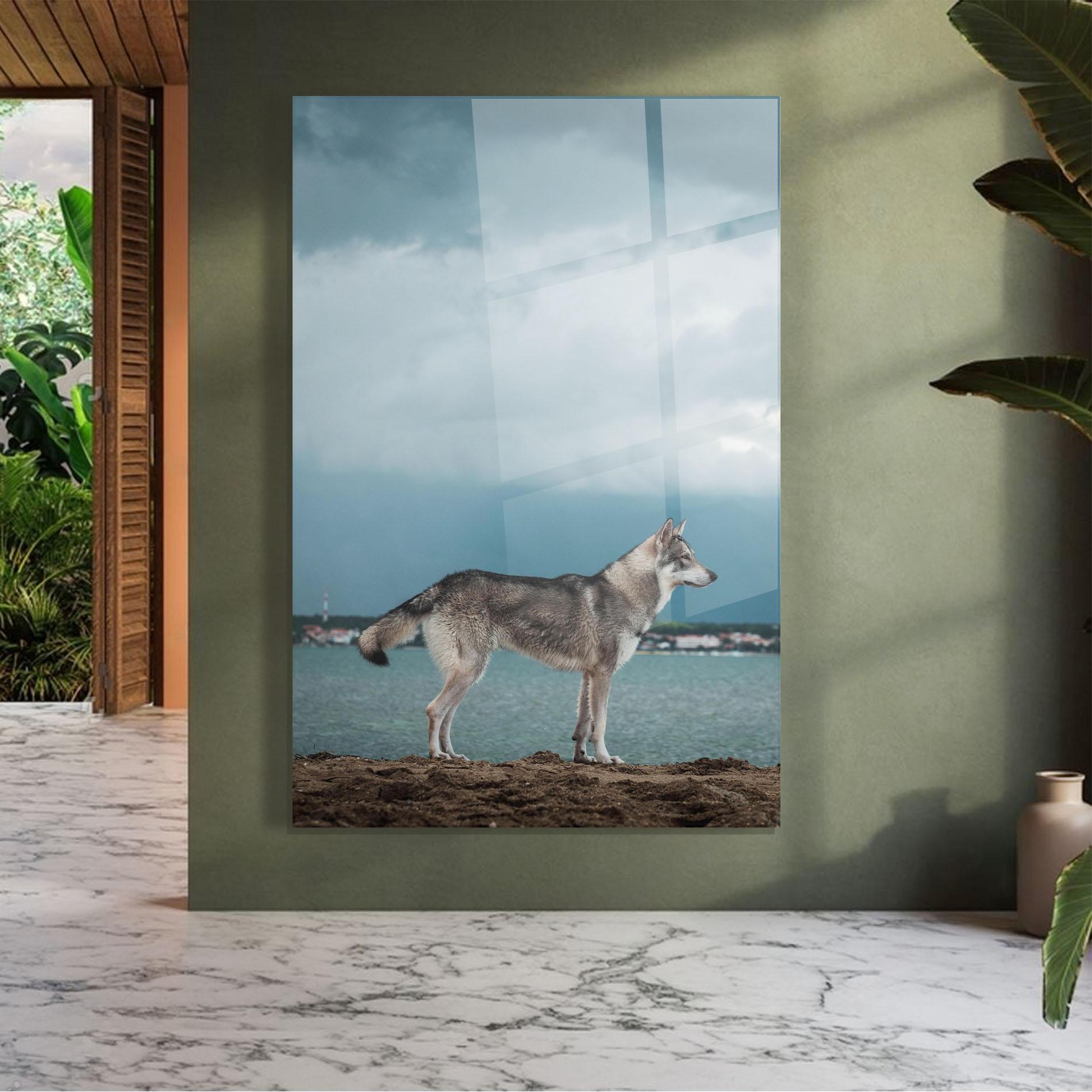 Glasbild Grey Wolf Looking mockup 7