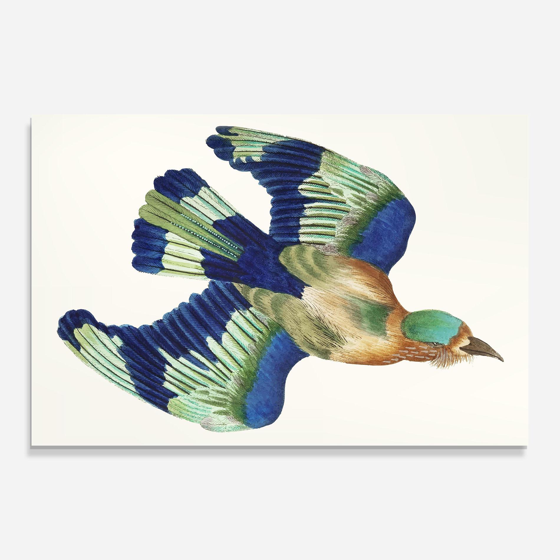 Glasbild Green Blue Bird mockup 0