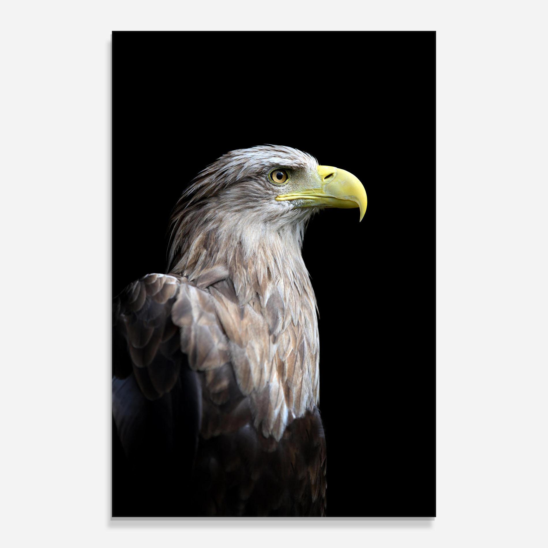 Glasbild Close Up Eagle mockup 0
