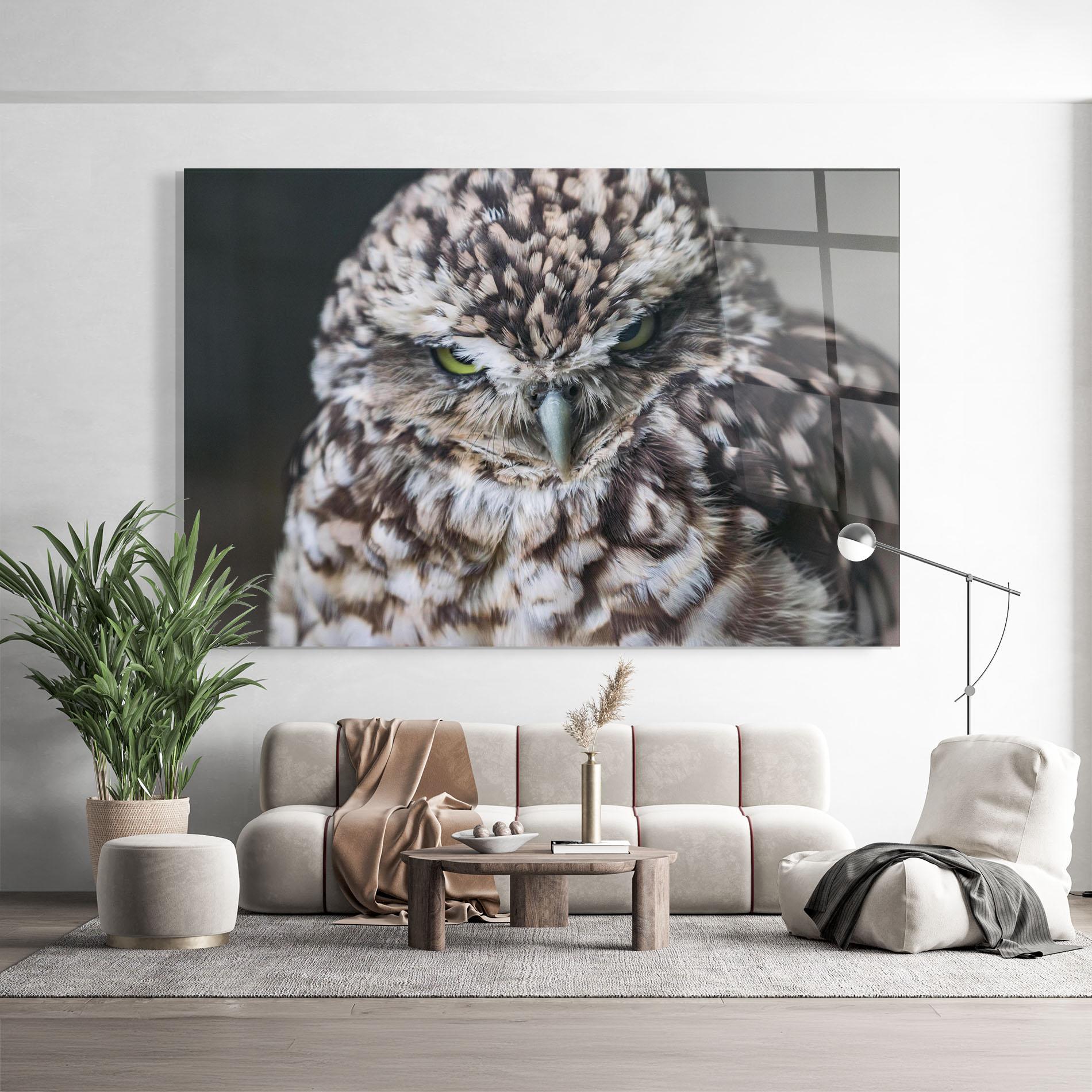 Glasbild Angry Little Owl mockup 9