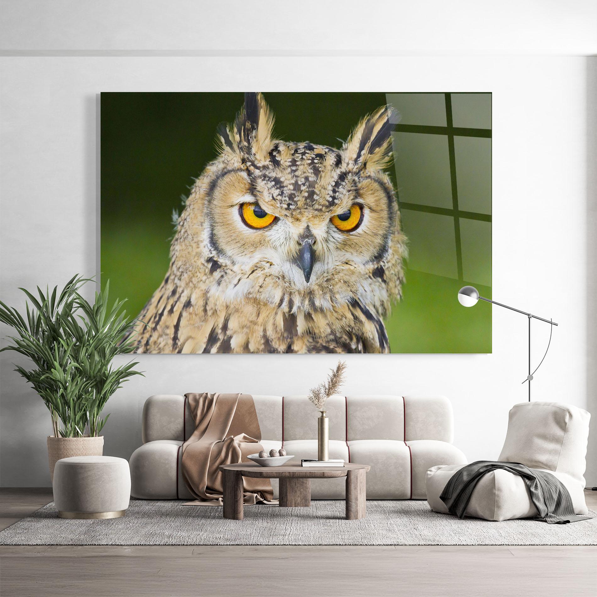 Glasbild Angry Owl mockup 9