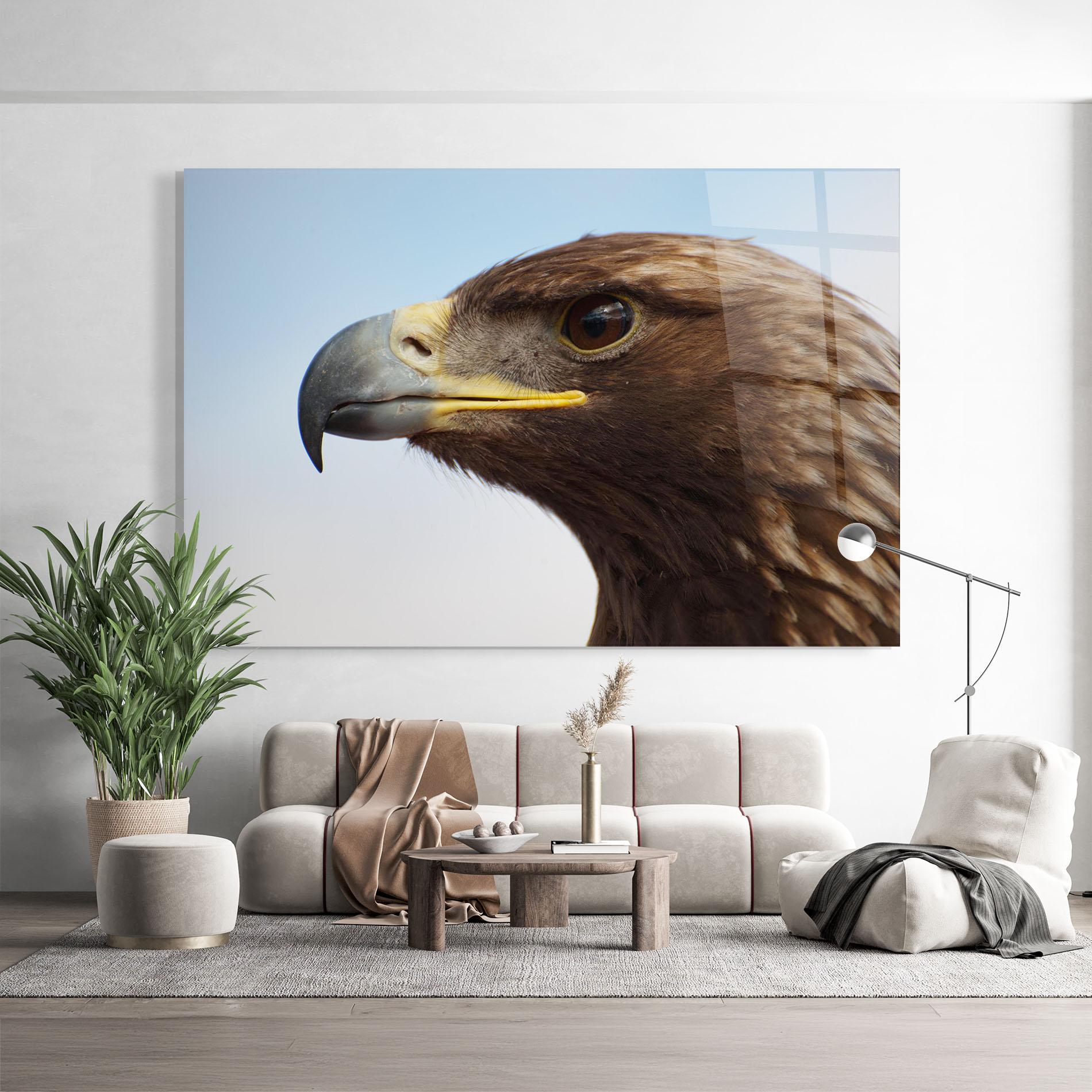 Glasbild Brown Head Eagle mockup 9