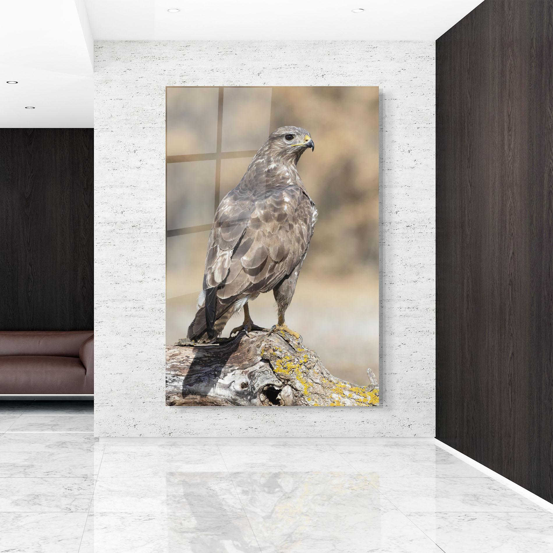 Glasbild Eagle Nature mockup 9