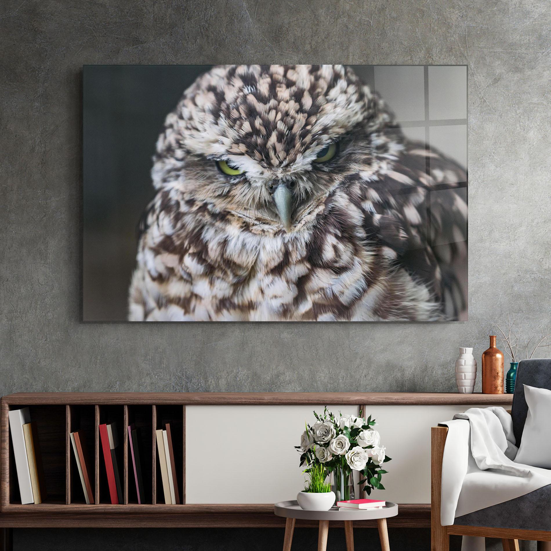 Glasbild Angry Little Owl mockup 2
