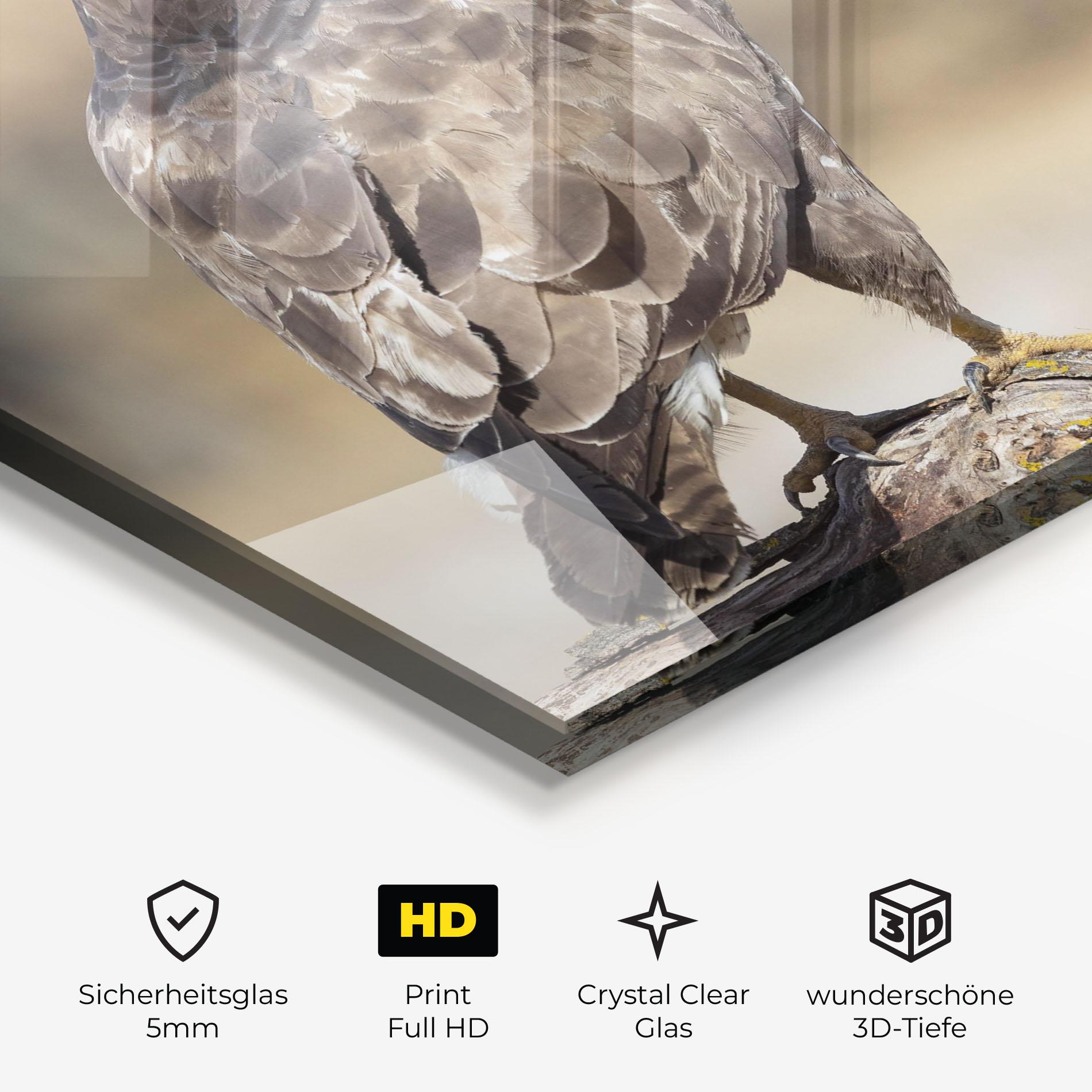 Glasbild Eagle Nature mockup 3