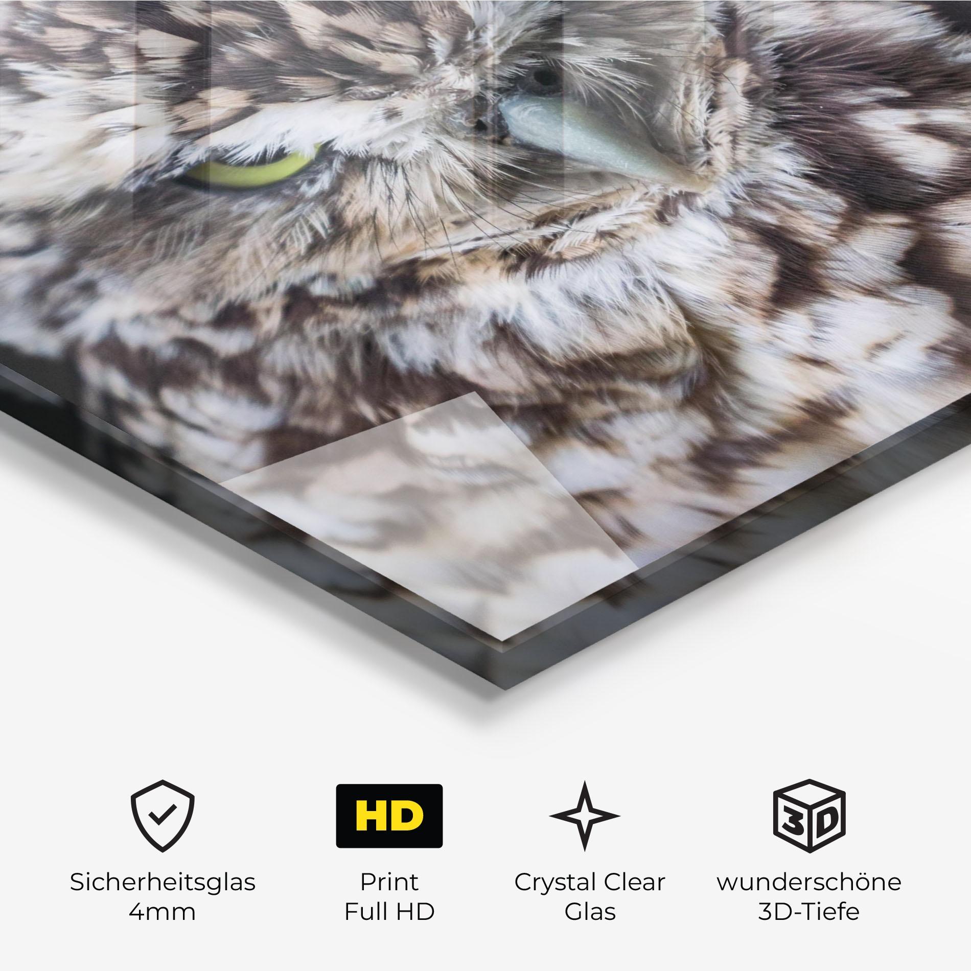 Glasbild Angry Little Owl mockup 3