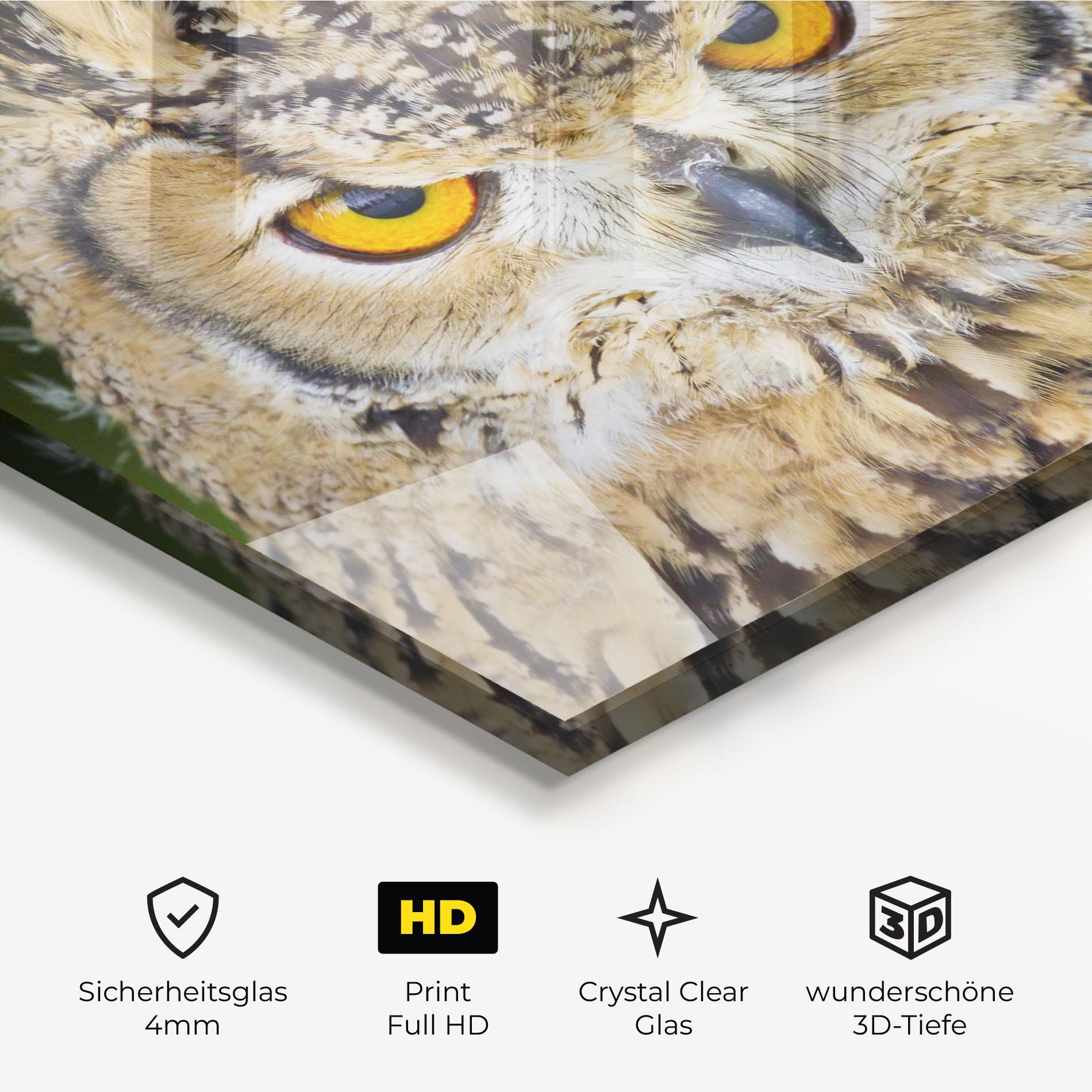 Glasbild Angry Owl mockup 3