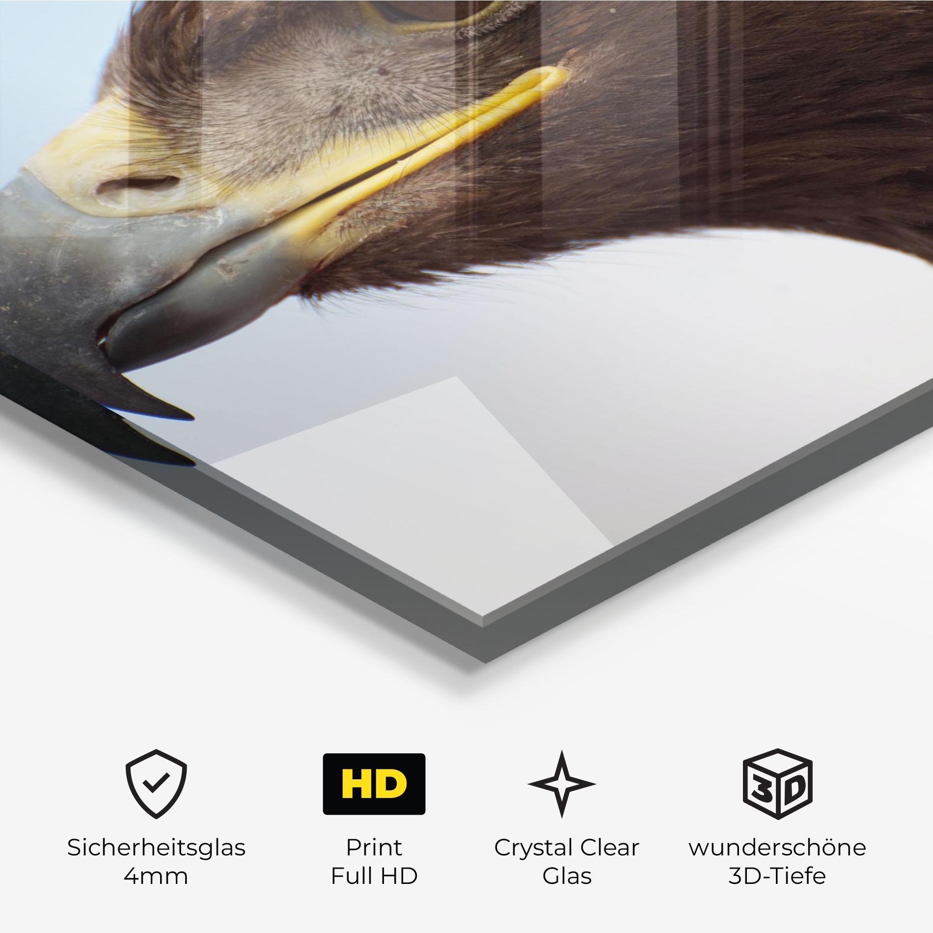 Glasbild Brown Head Eagle mockup 3
