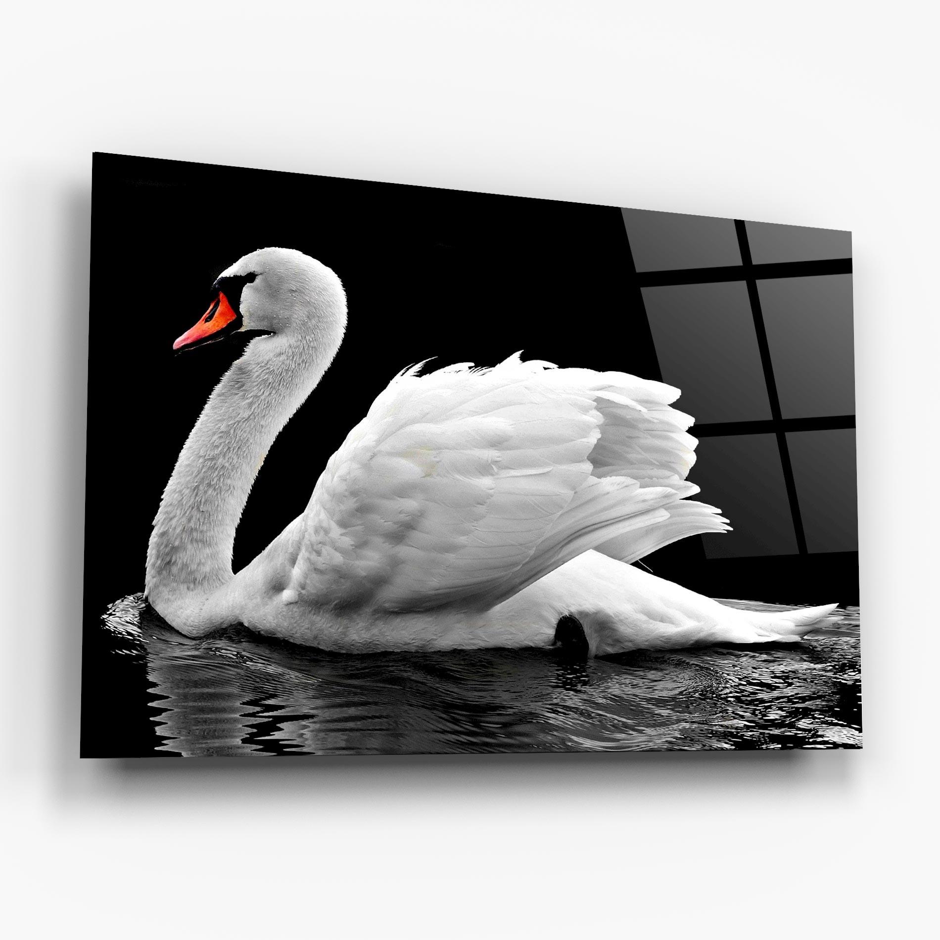 Glasbild Black And White Swan mockup 6