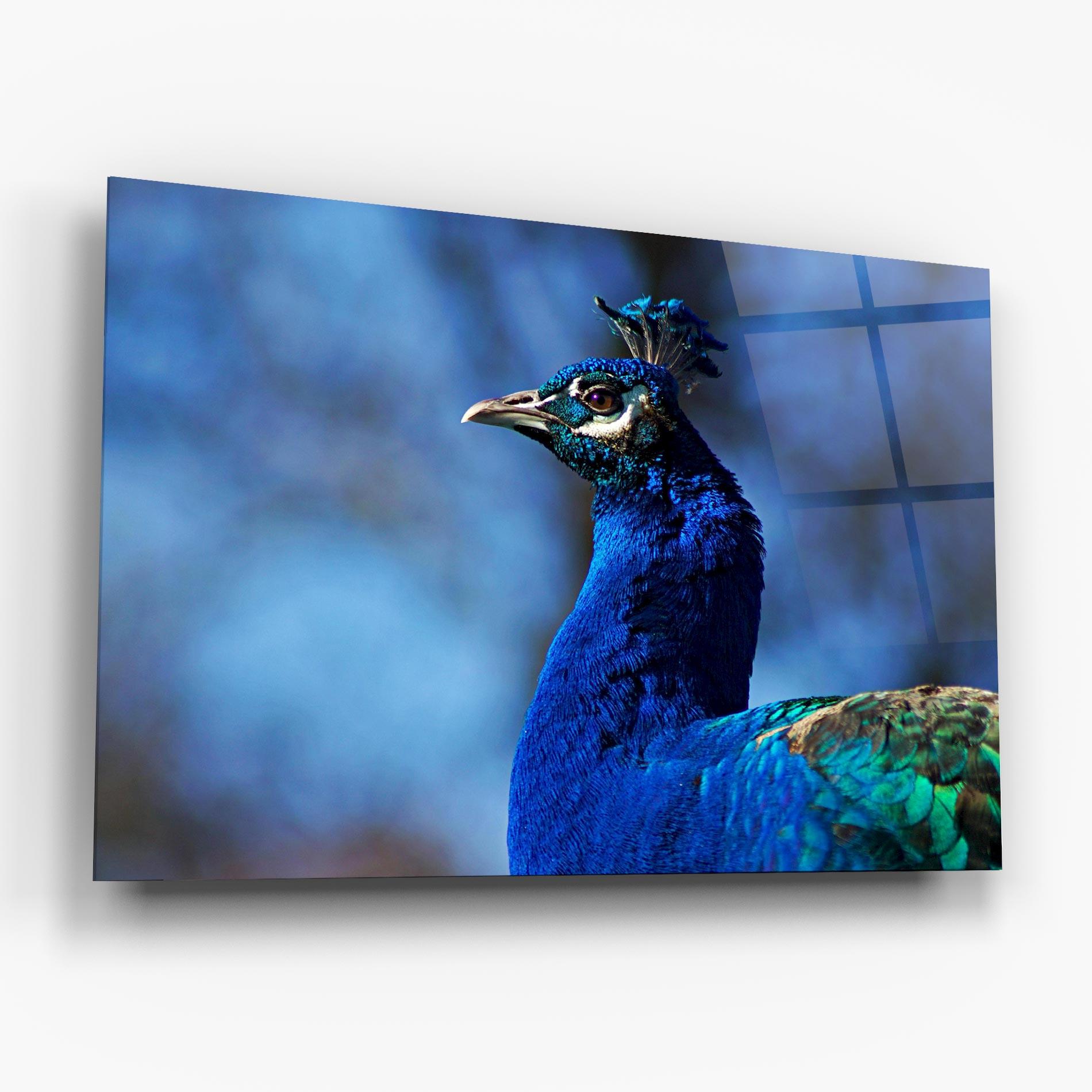 Glasbild Blue Bird mockup 6