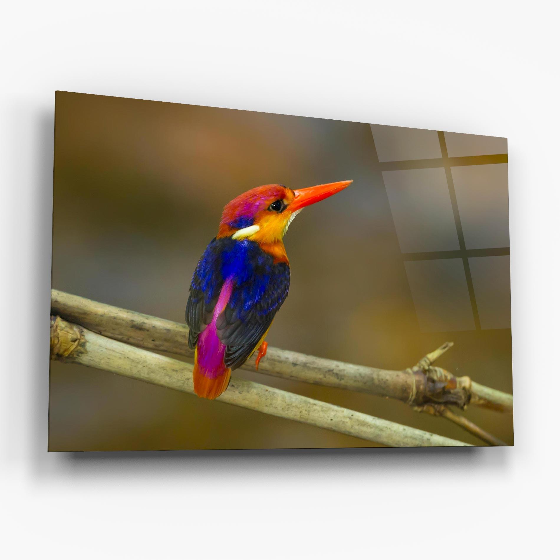 Glasbild Colorful Bird mockup 6