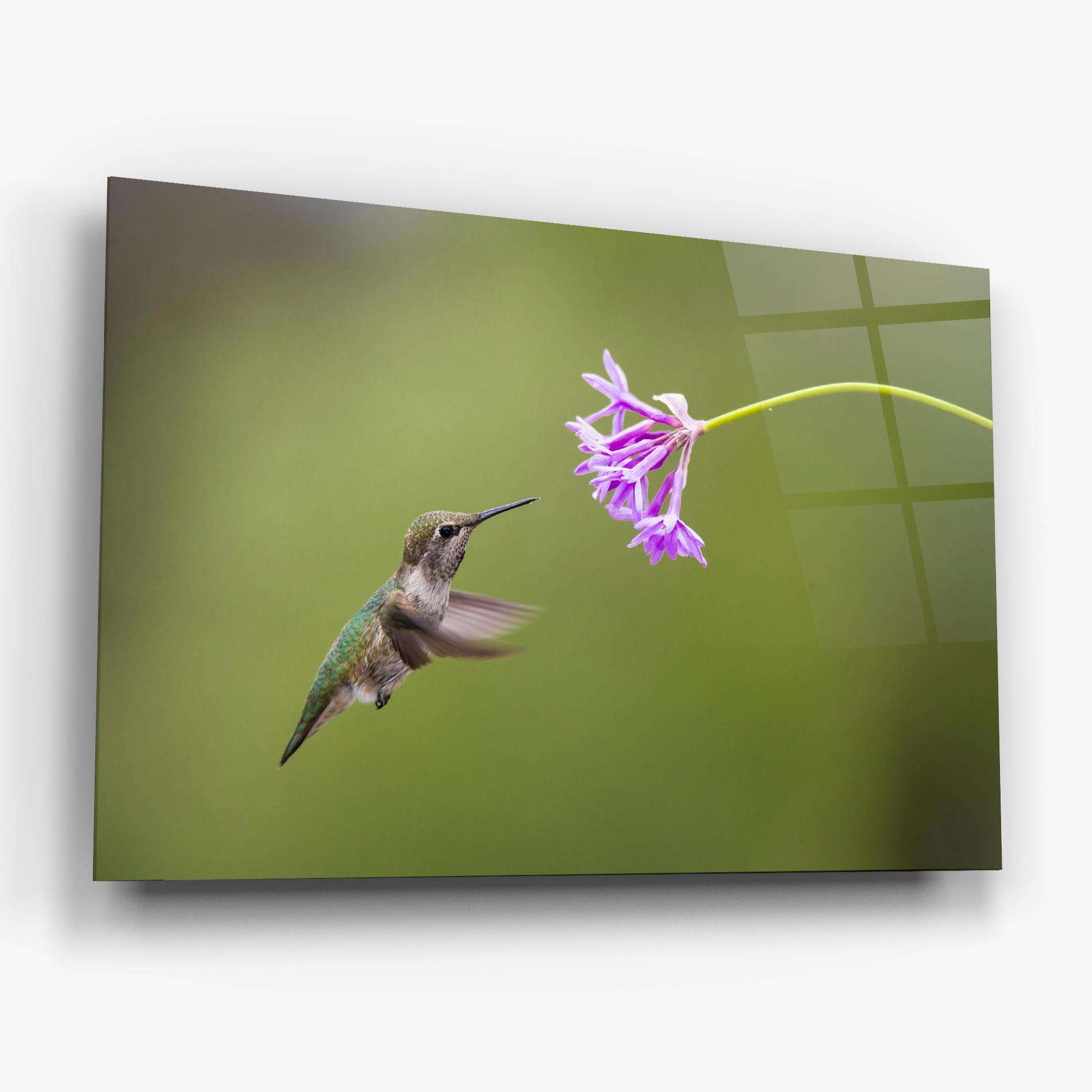 Glasbild Cute Hummingbird mockup 6