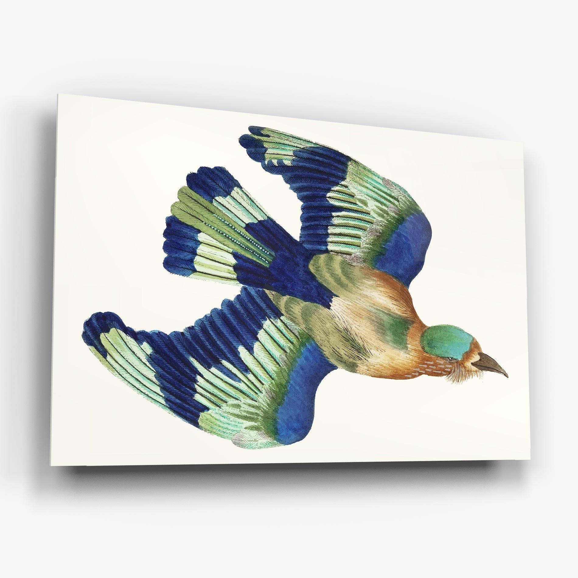 Glasbild Green Blue Bird mockup 6