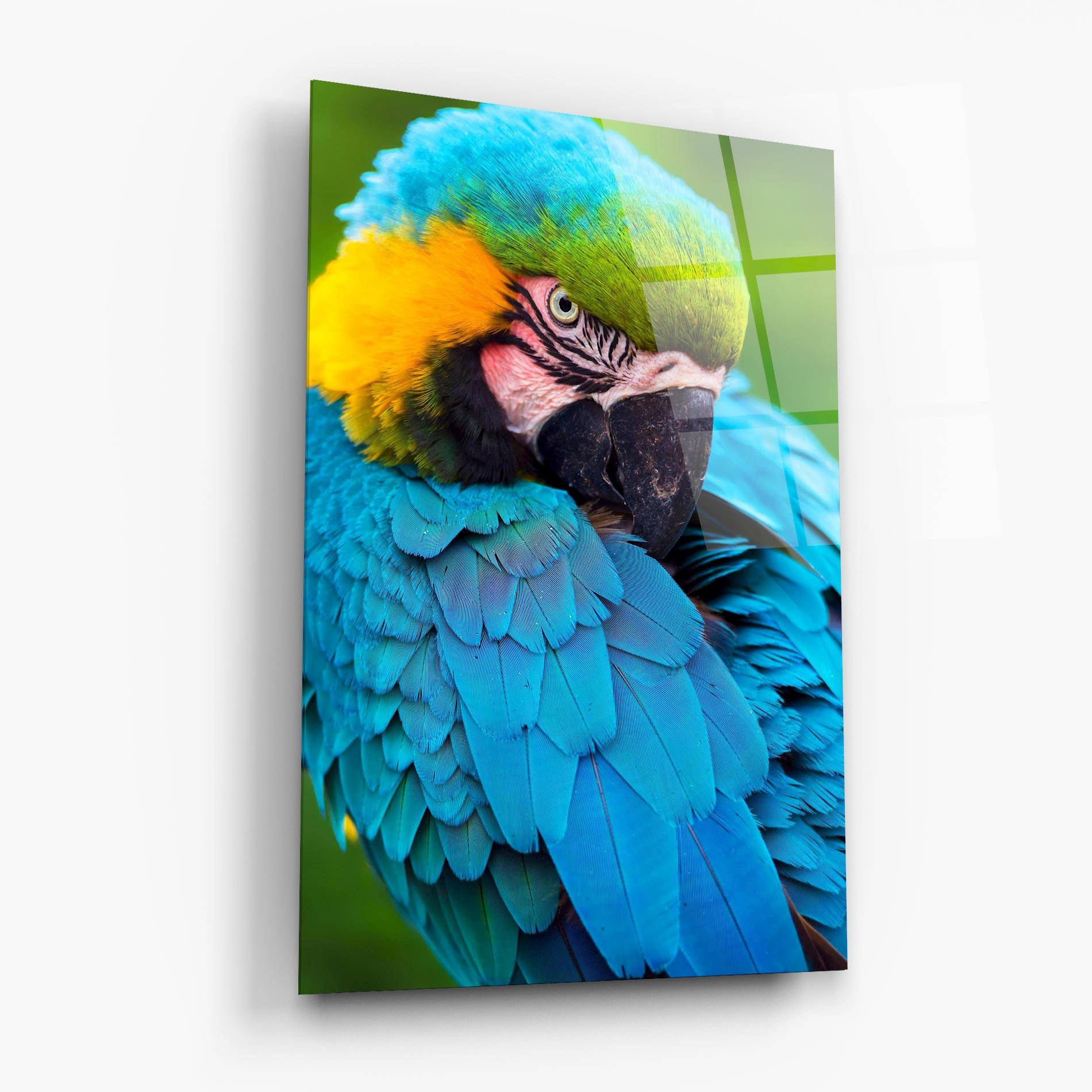 Glasbild Blue Parrot mockup 6