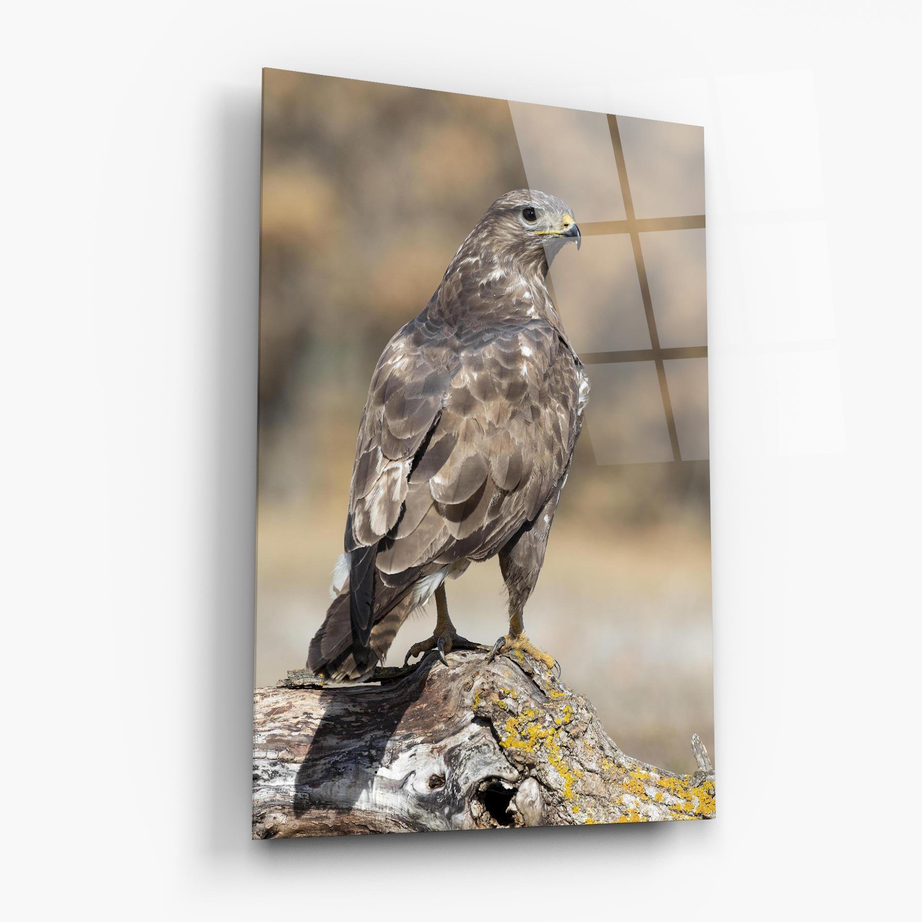Glasbild Eagle Nature mockup 6