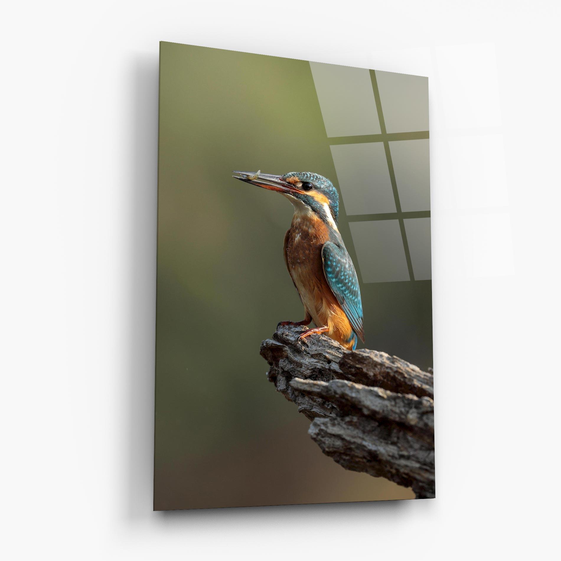 Glasbild Female Kingfisher mockup 6