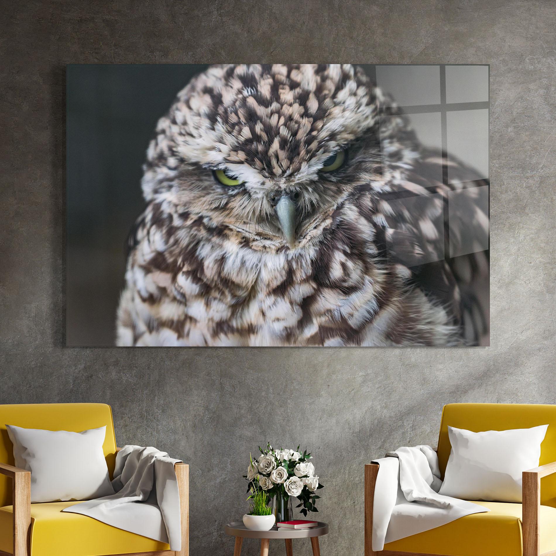 Glasbild Angry Little Owl mockup 4