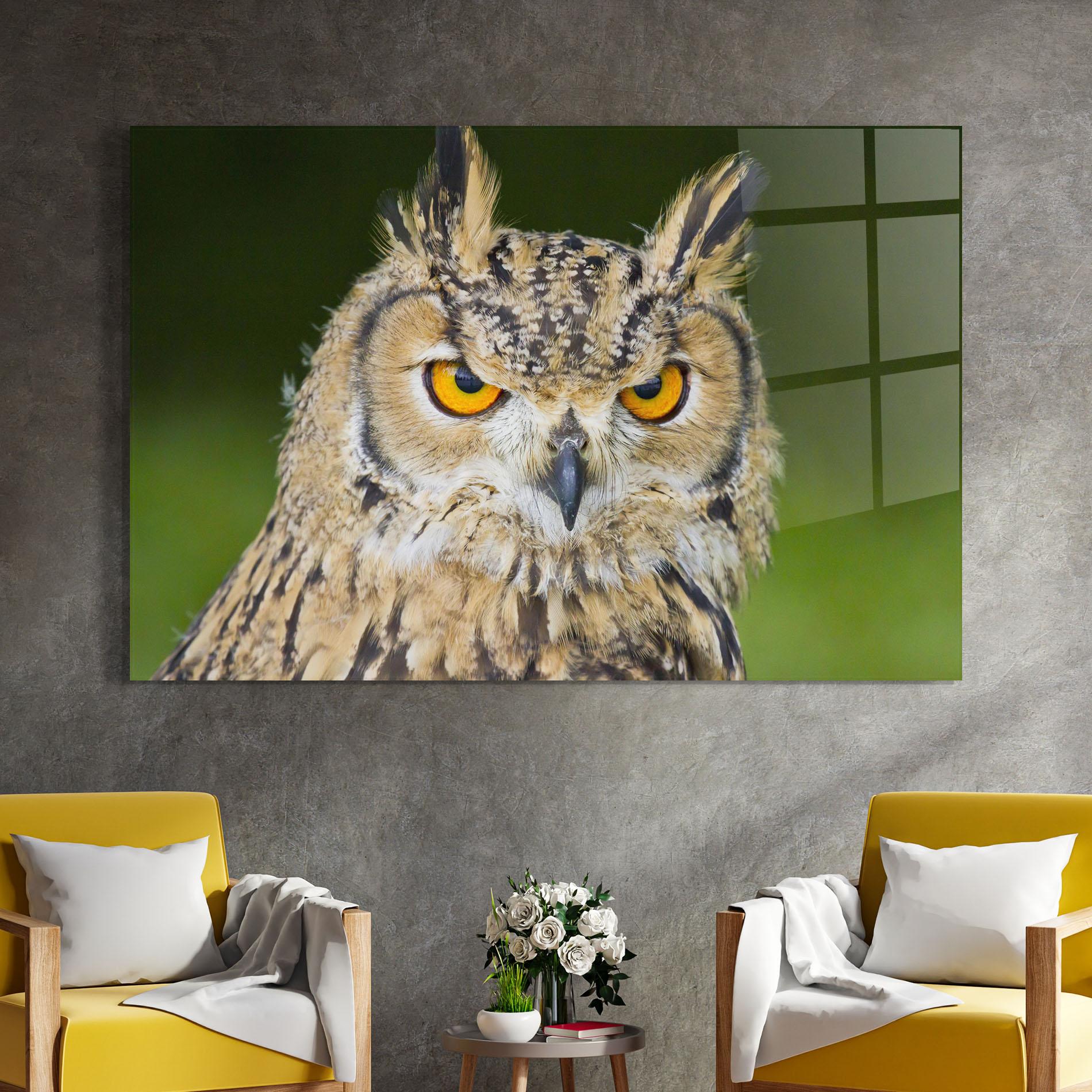Glasbild Angry Owl mockup 4