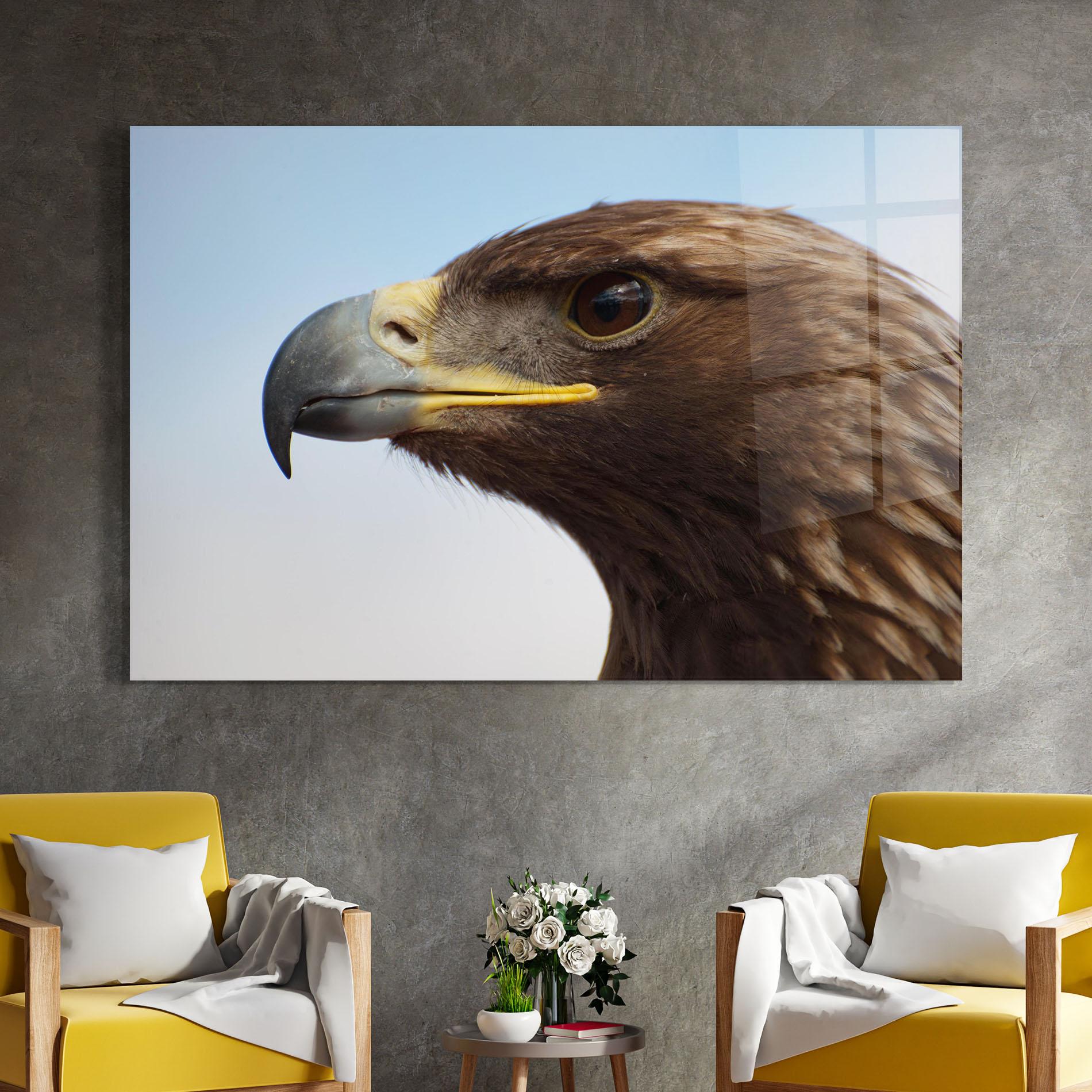 Glasbild Brown Head Eagle mockup 4