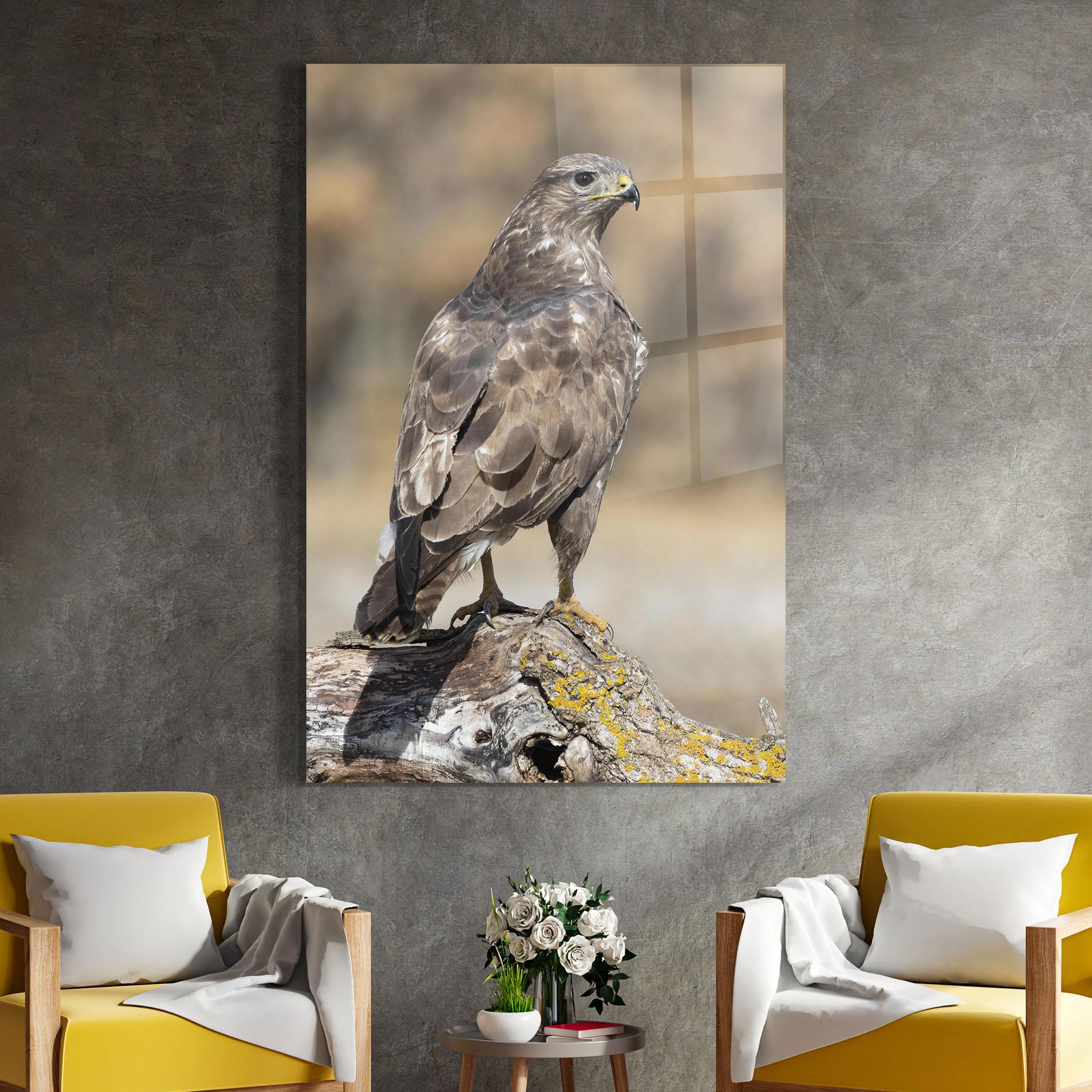 Glasbild Eagle Nature mockup 4