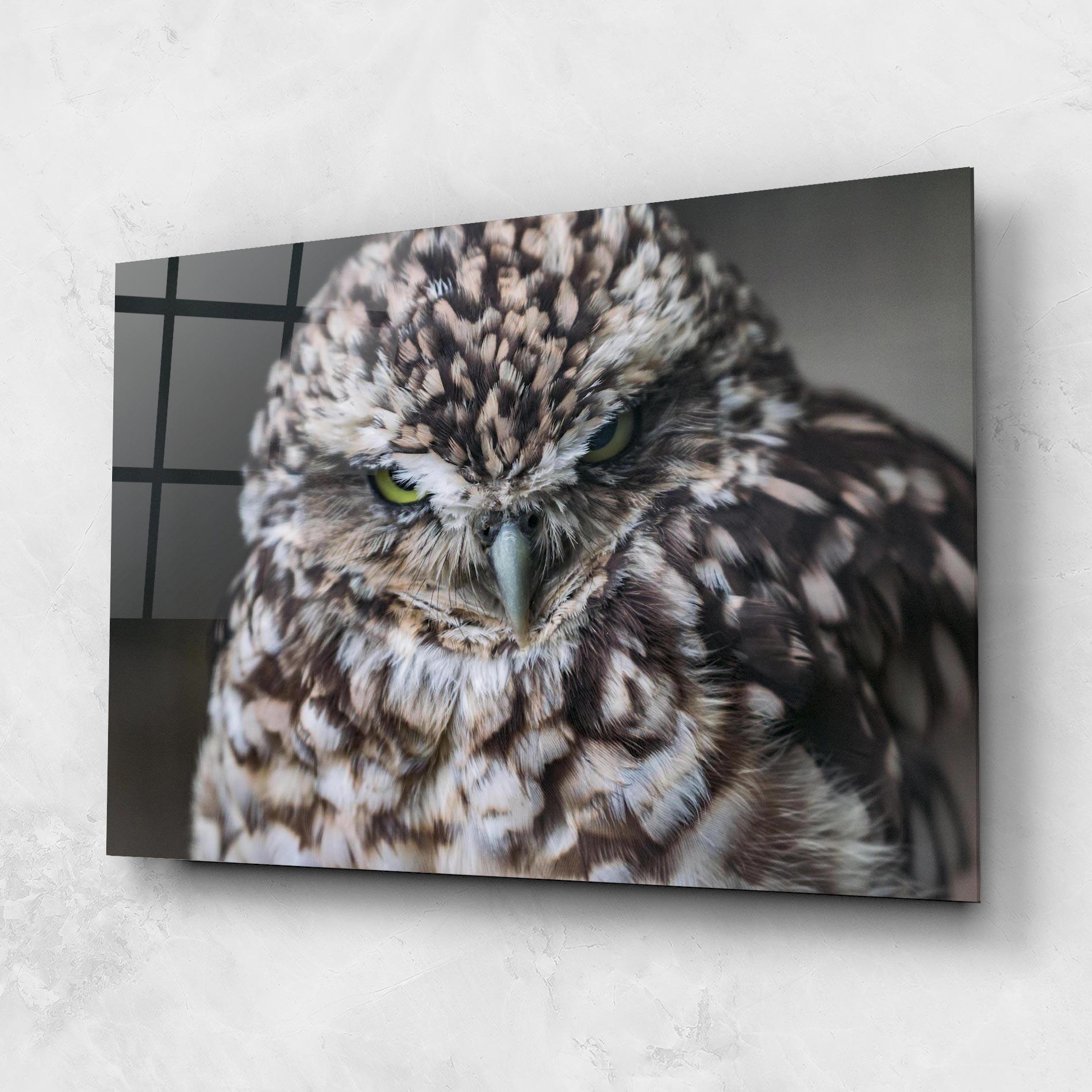 Glasbild Angry Little Owl mockup 1