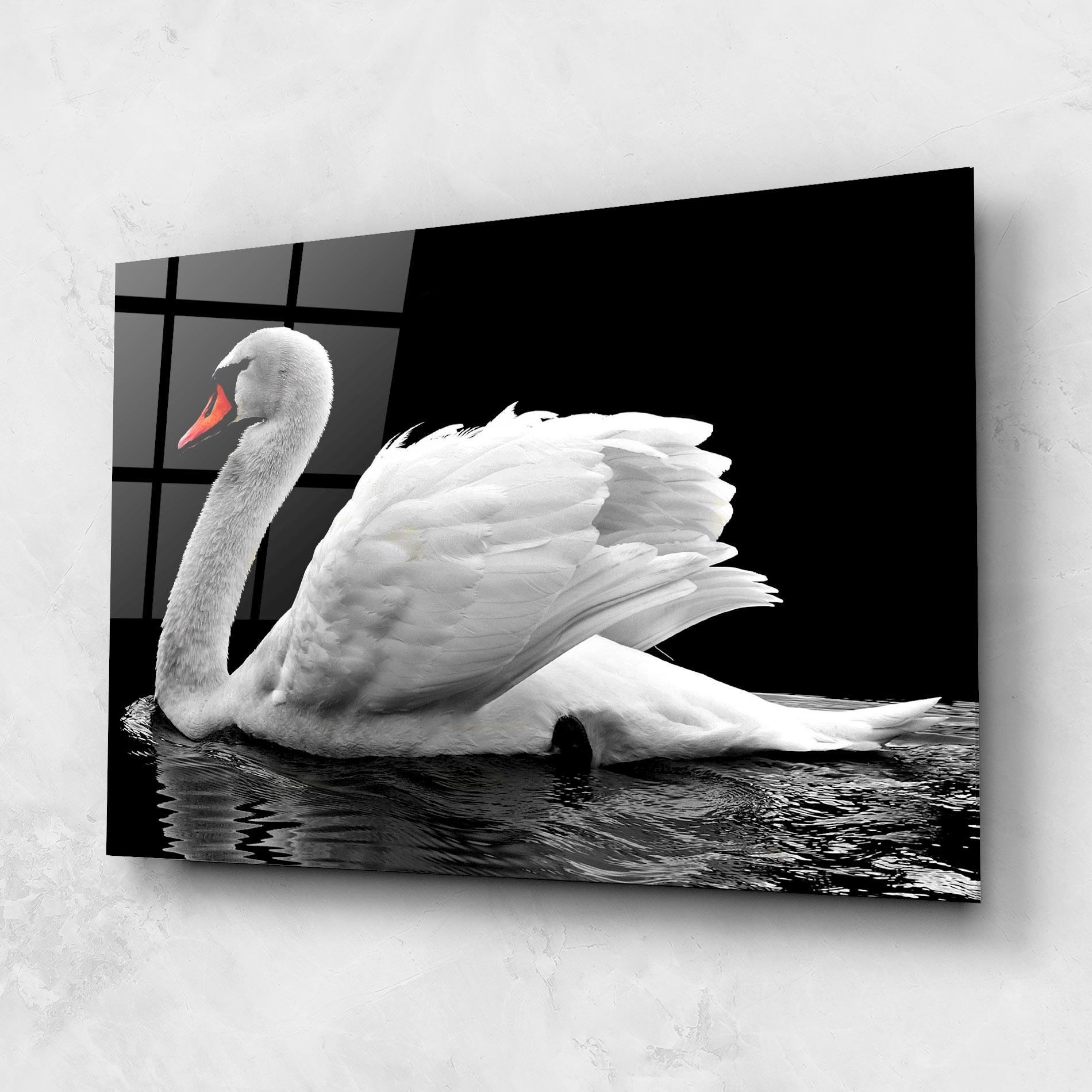 Glasbild Black And White Swan mockup 1
