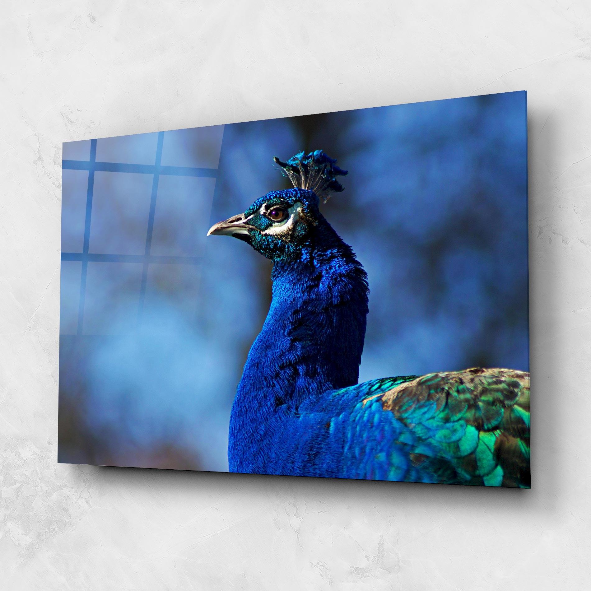 Glasbild Blue Bird mockup 1